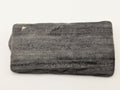 Petrified Wood Specimen