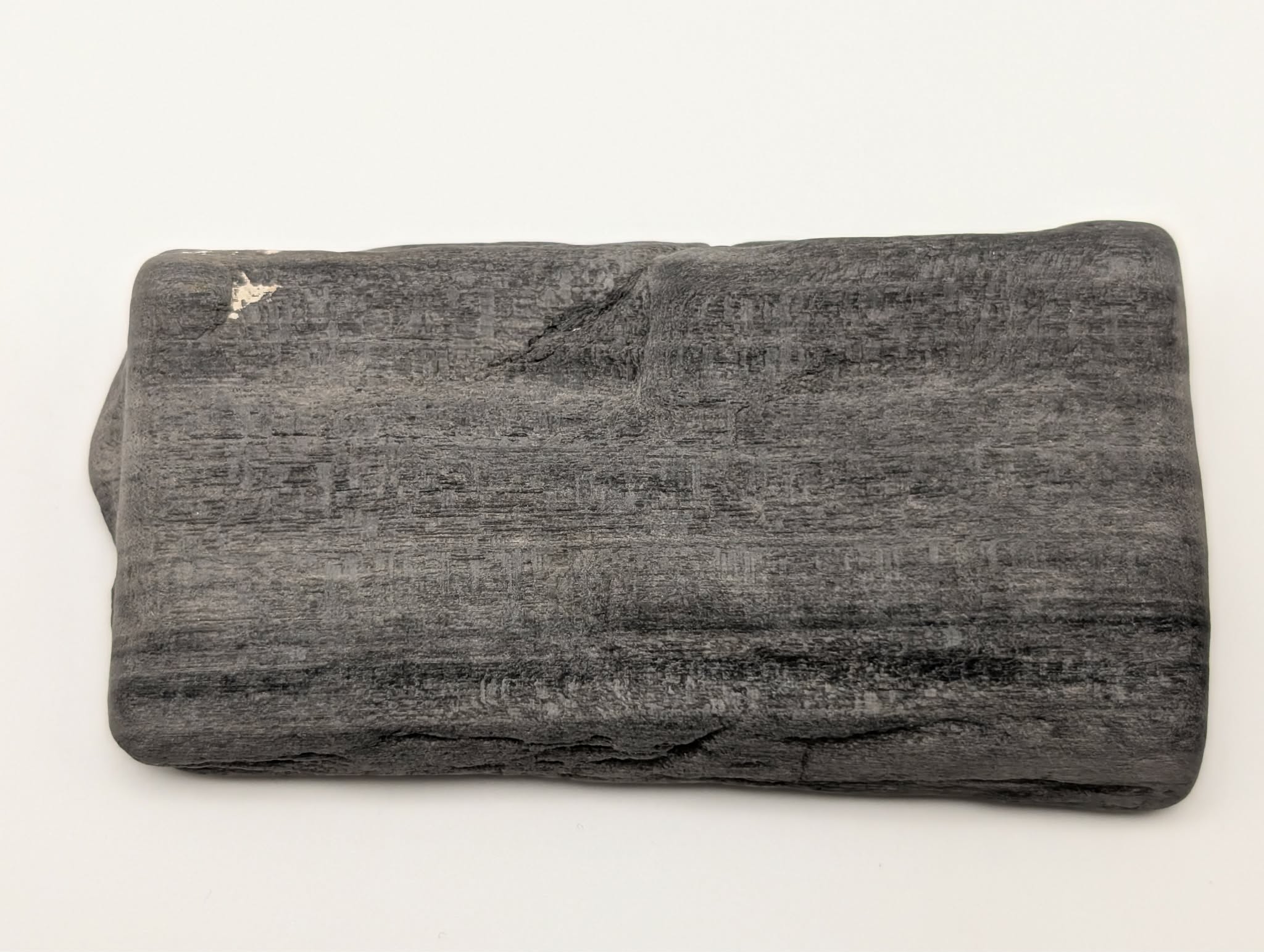 Petrified Wood Specimen