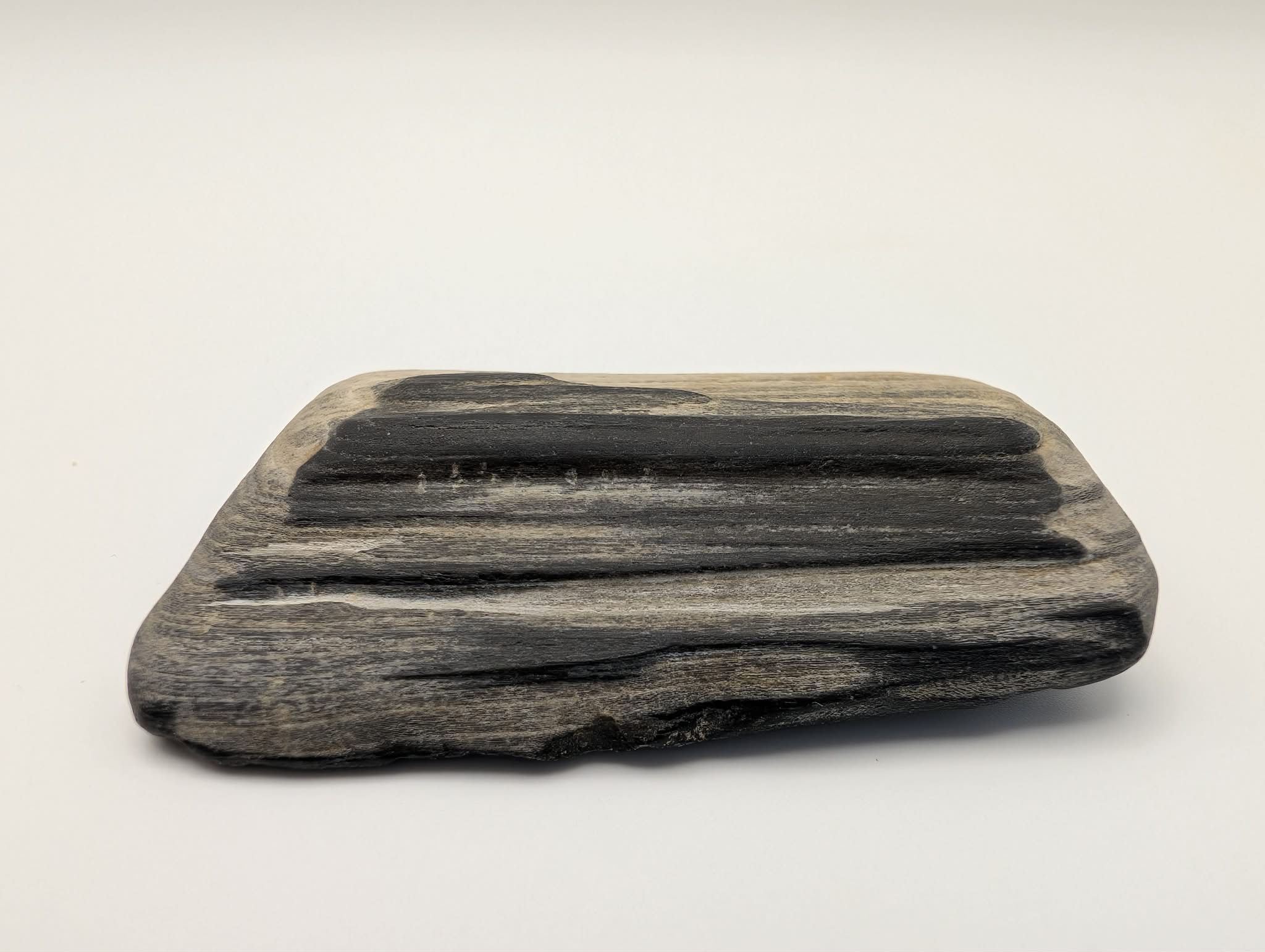 Black Opalized Wood Specimen