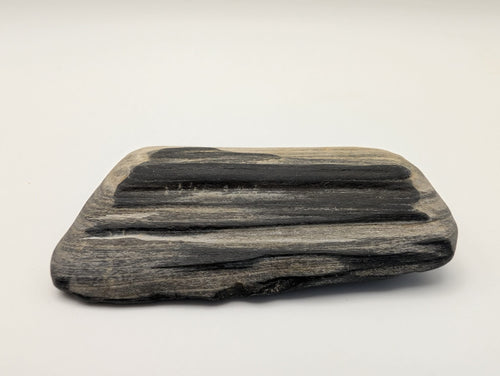 Black Opalized Wood Specimen