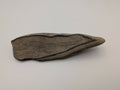Petrified Wood Specimen