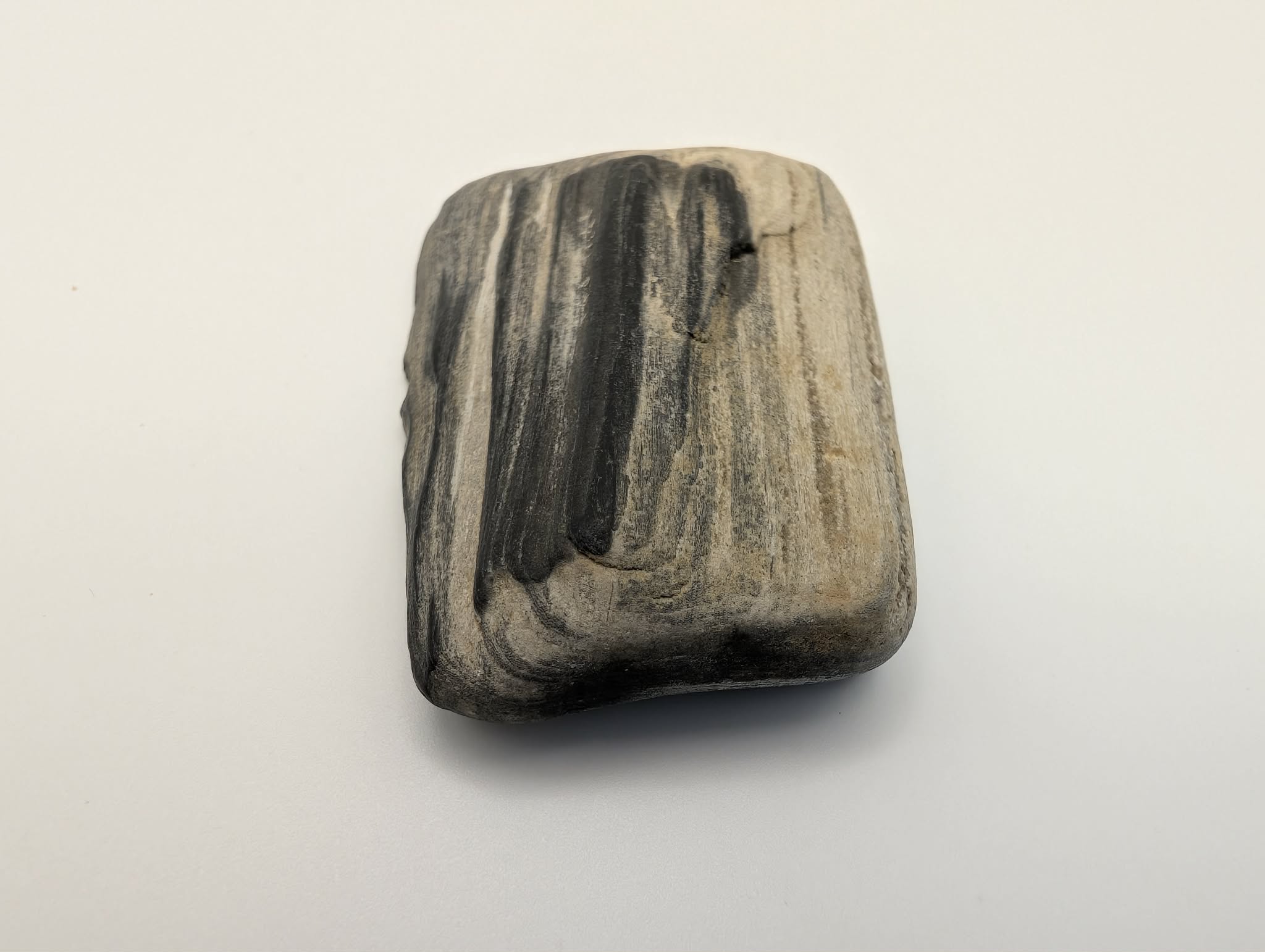 Black Opalized Wood Specimen