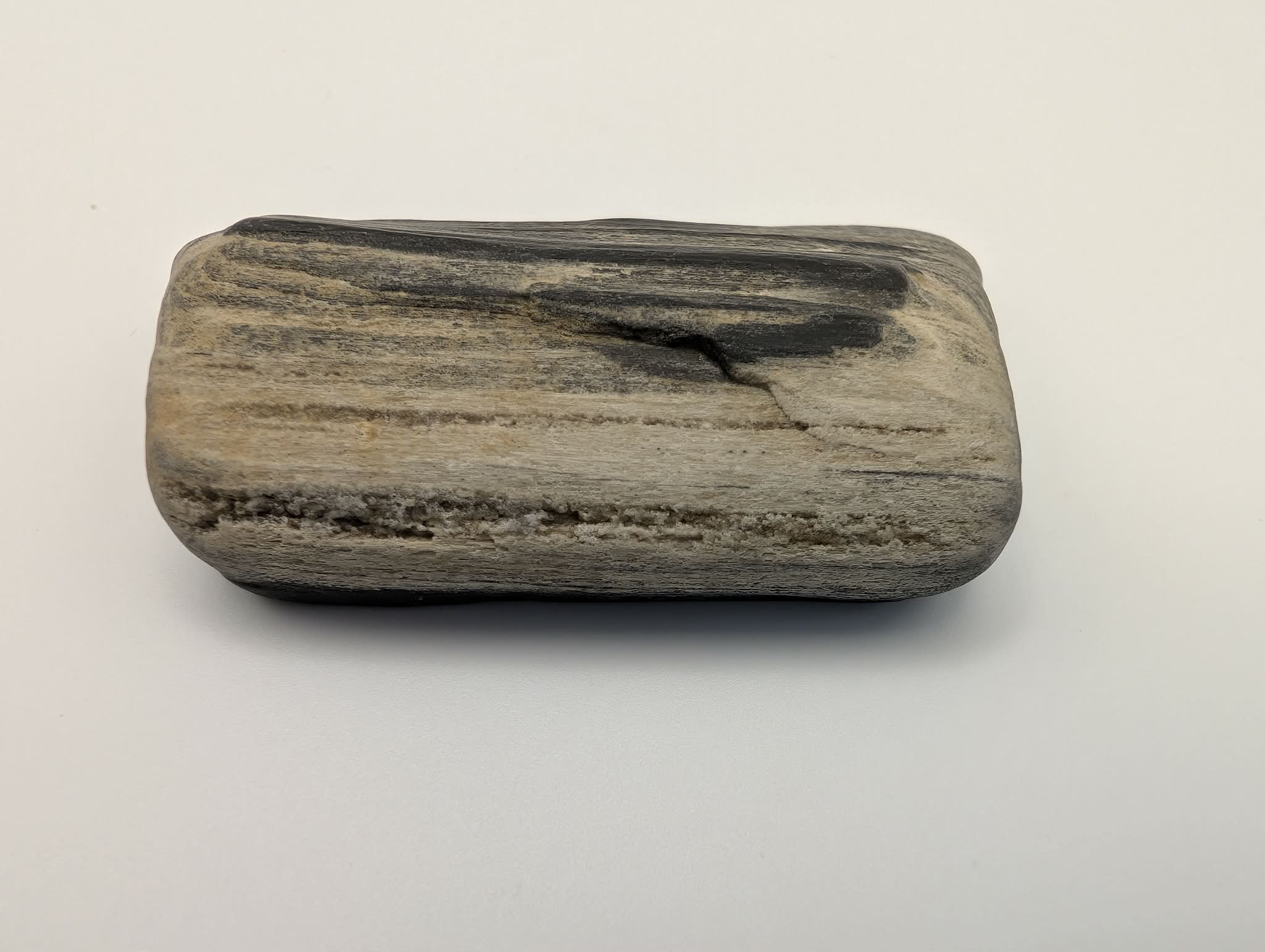 Black Opalized Wood Specimen