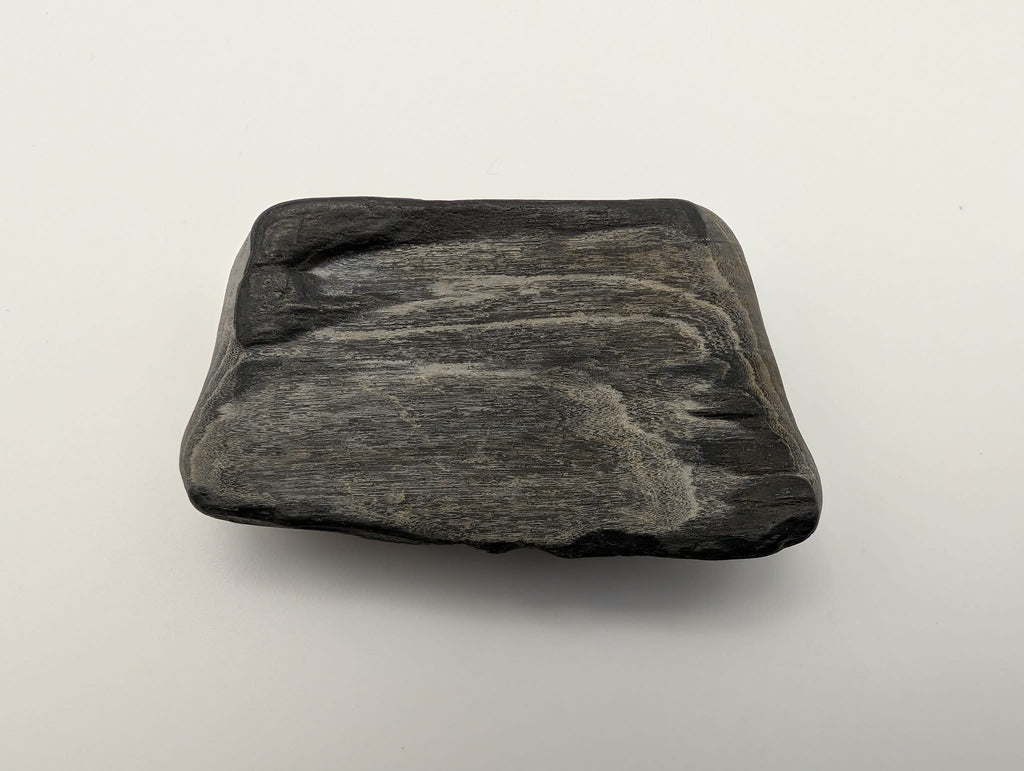 Black Opalized Wood Specimen