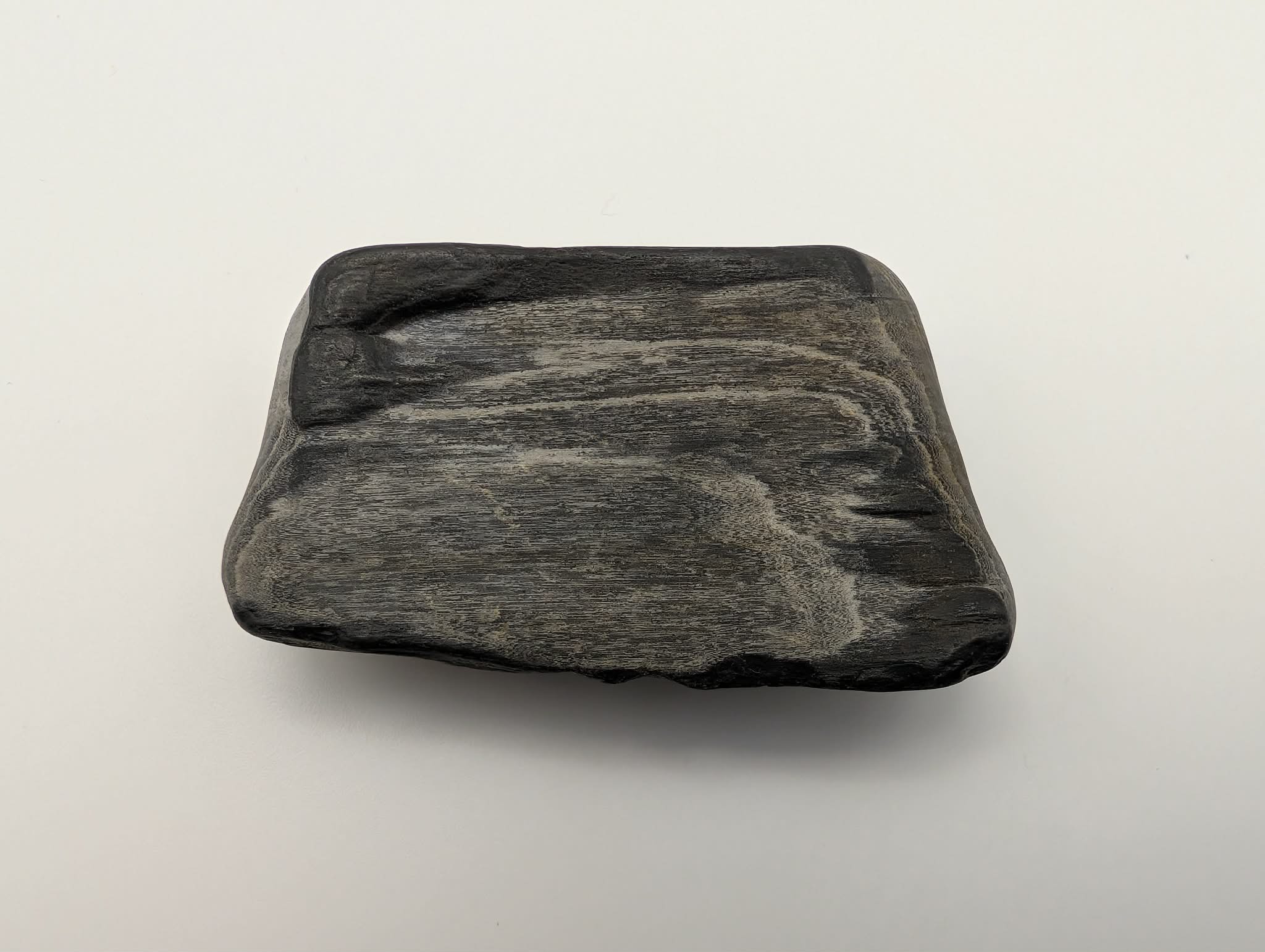 Black Opalized Wood Specimen