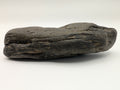 Petrified Wood Specimen