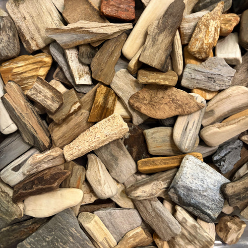 Bulk Assorted Petrified Wood - 10lbs