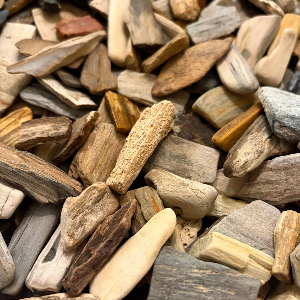 Bulk Assorted Petrified Wood - 5lbs