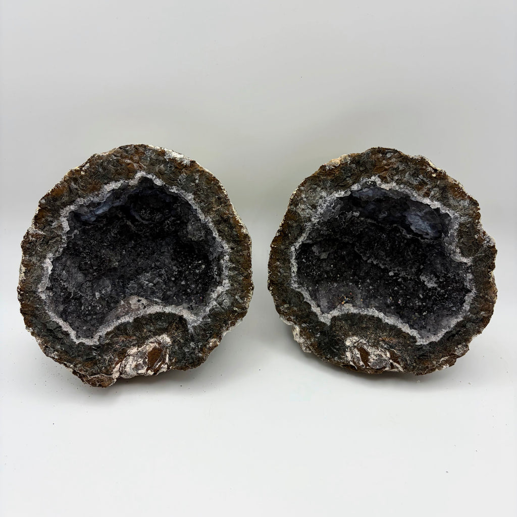 Las Choyas Coconut Whole Geodes 95% Hollow
