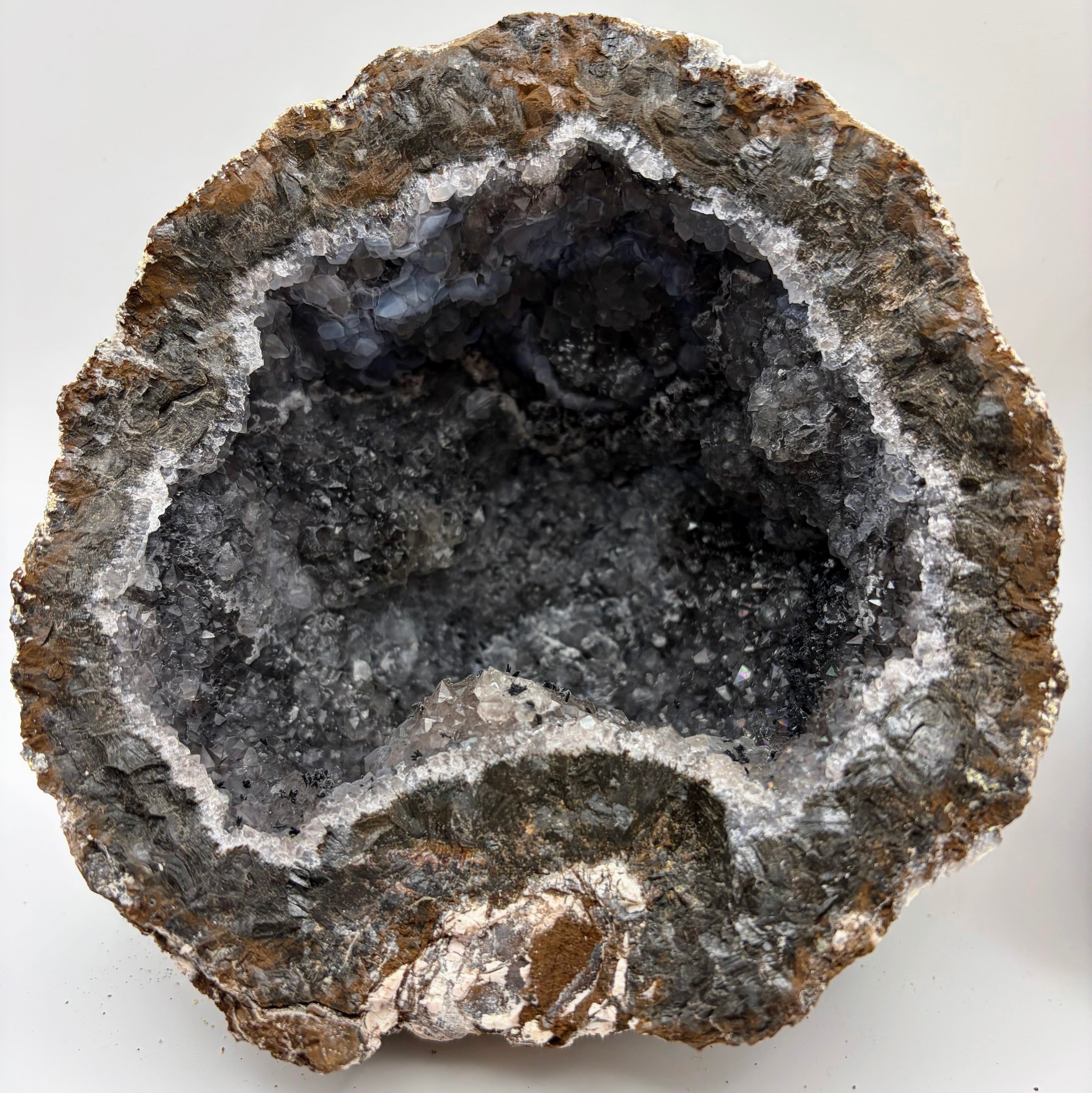 Las Choyas Coconut Whole Geodes 95% Hollow