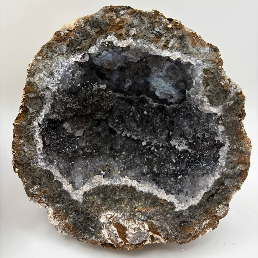 Las Choyas Coconut Whole Geodes 95% Hollow