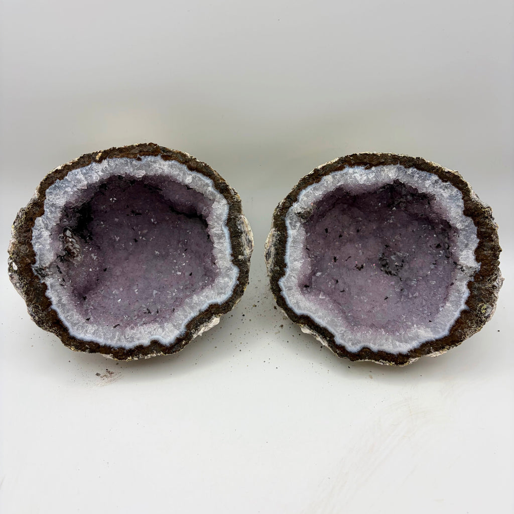 Las Choyas Coconut Whole Geodes 95% Hollow