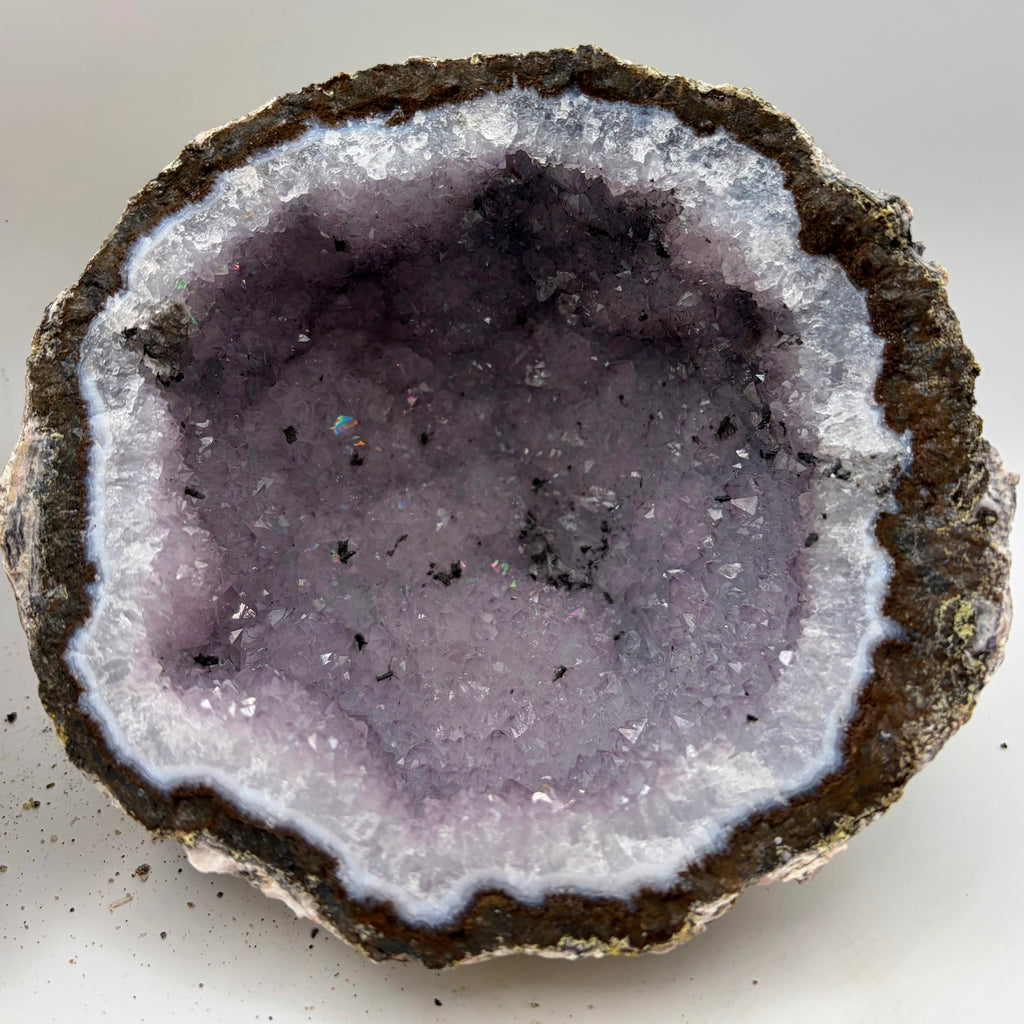 Las Choyas Coconut Whole Geodes 95% Hollow