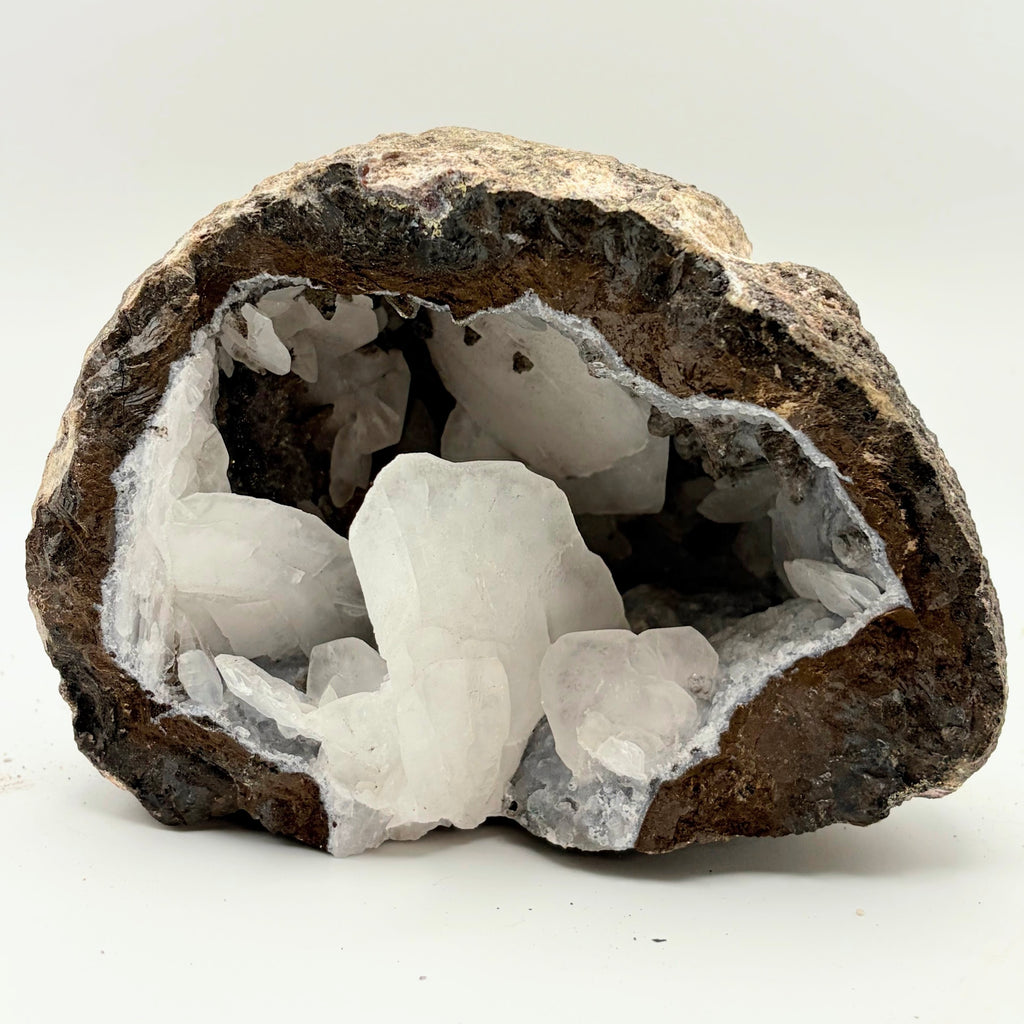 Las Choyas Coconut Whole Geodes 95% Hollow