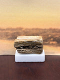 Small Petrified Wood Specimen with Druzy Crystals (with stand) (SOLD)