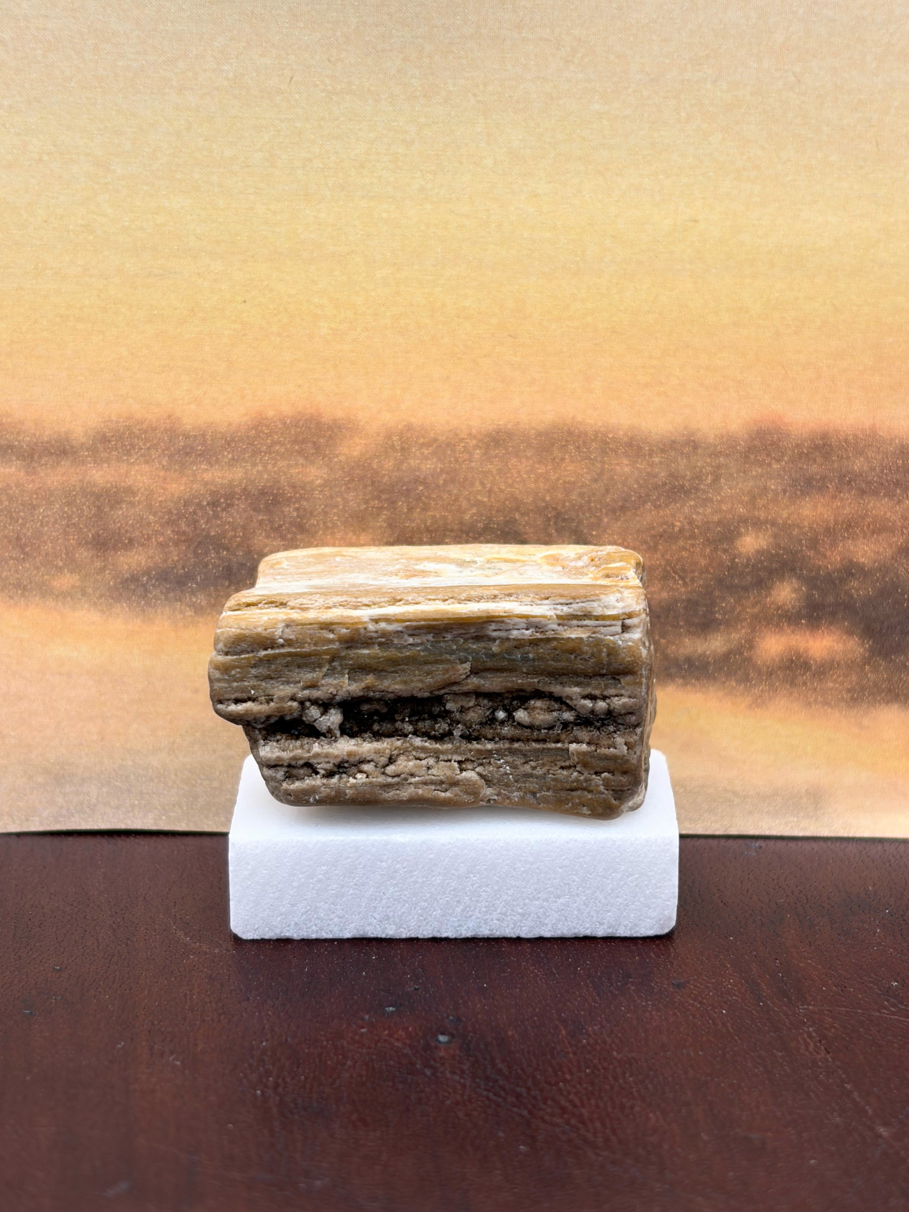 Small Petrified Wood Specimen with Druzy Crystals (with stand) (SOLD)
