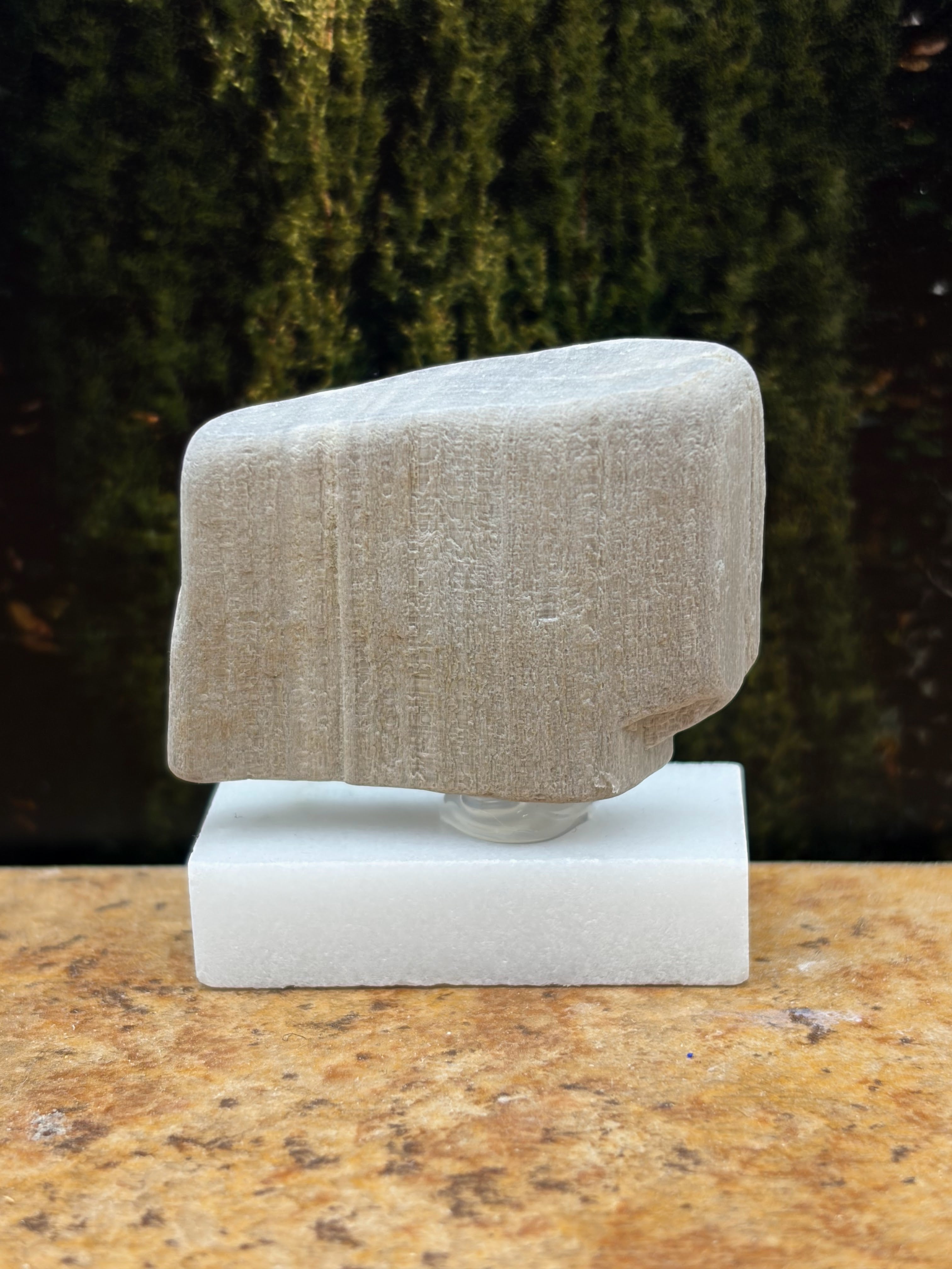 Small Petrified Wood Specimen (with stand)