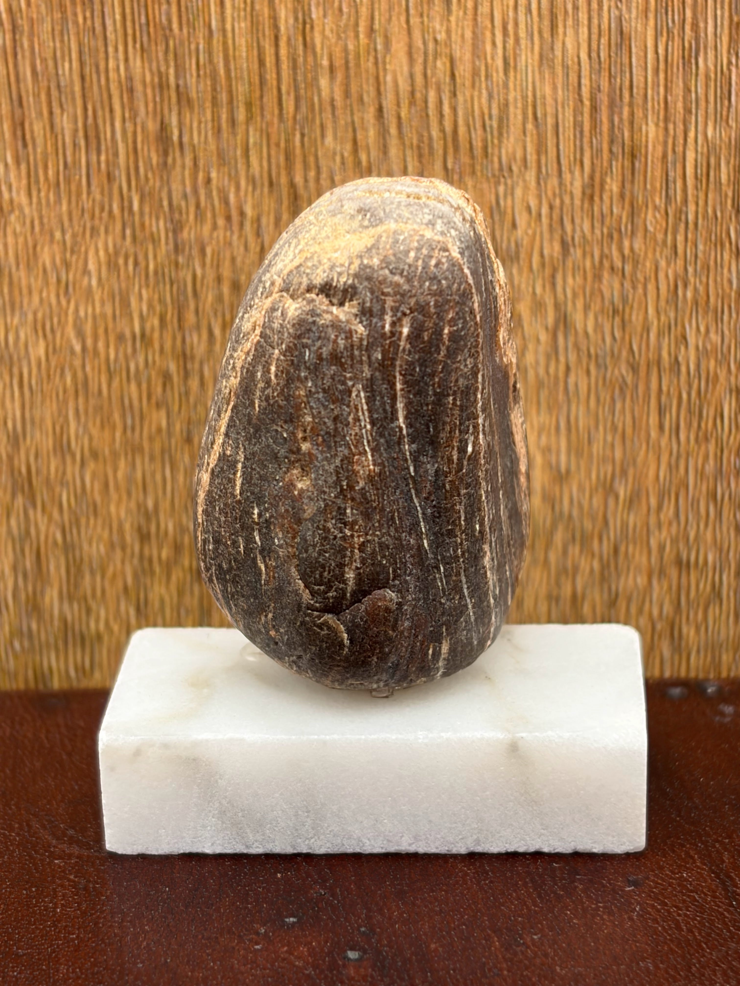 Small Petrified Wood Specimen (with stand)