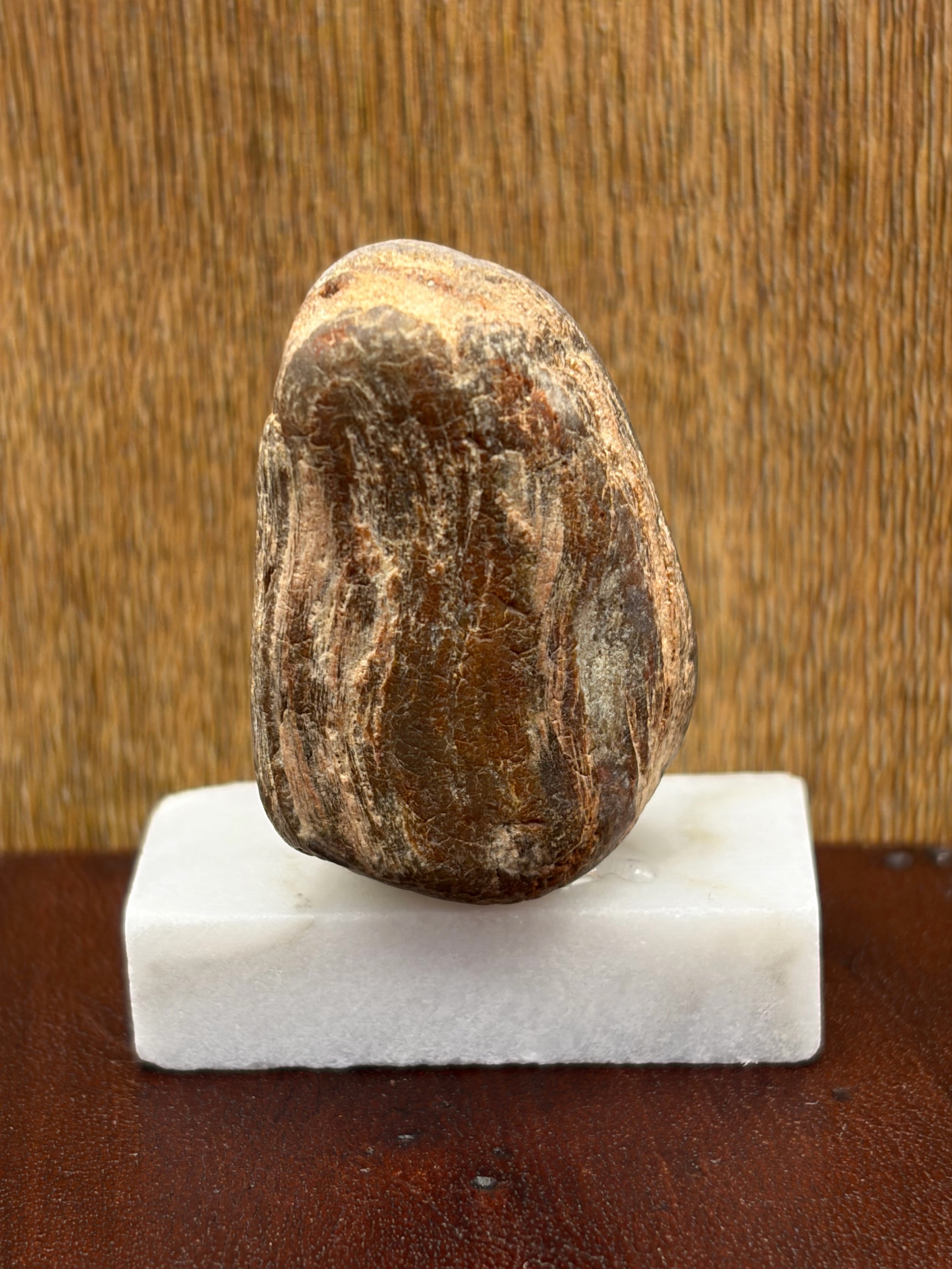 Small Petrified Wood Specimen (with stand)