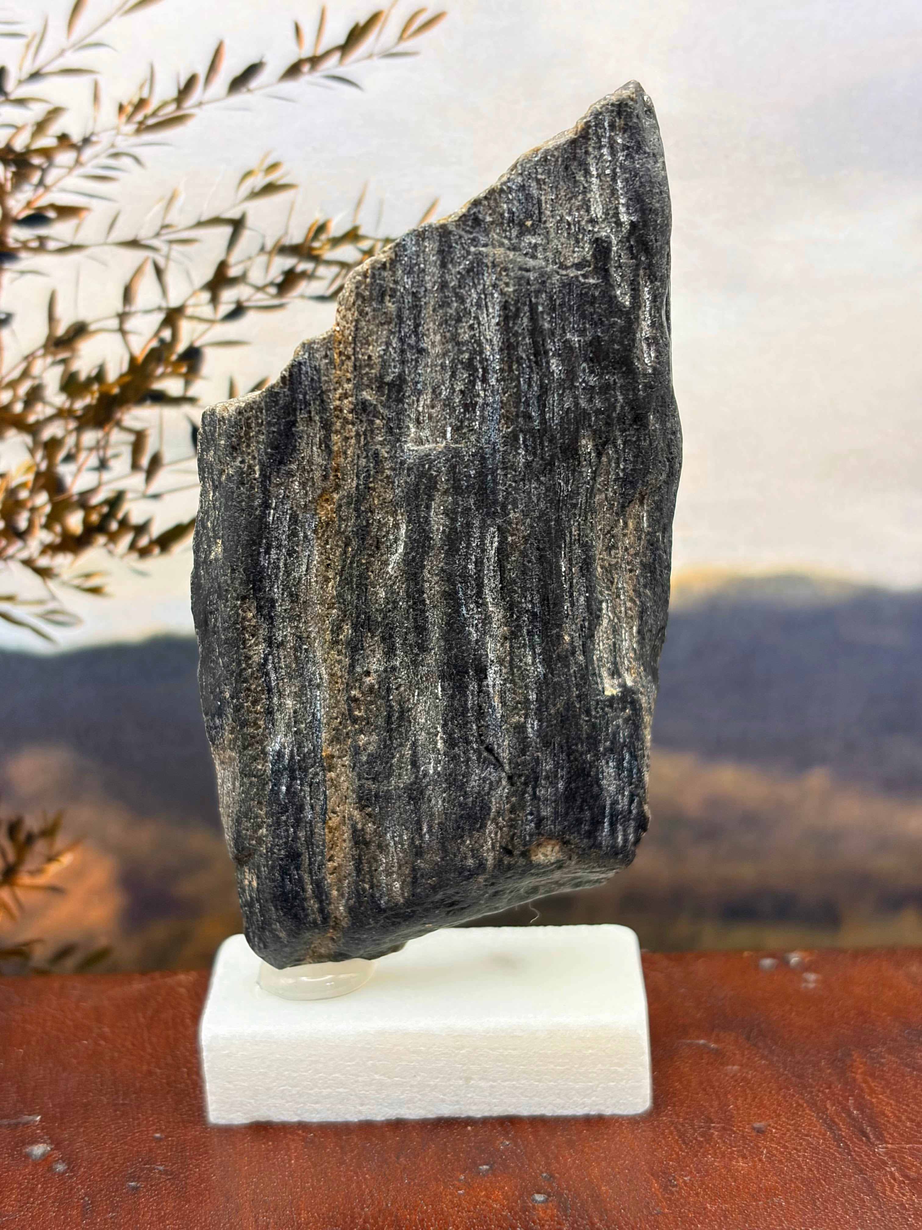 Small Black Opal Petrified Wood Specimen (with stand)