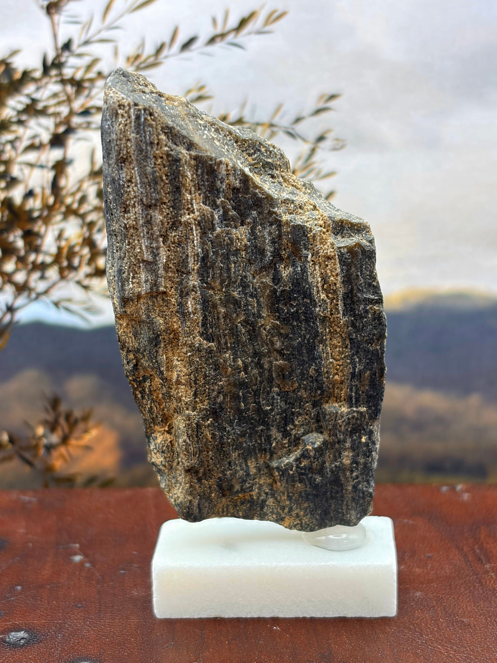 Small Black Opal Petrified Wood Specimen (with stand)