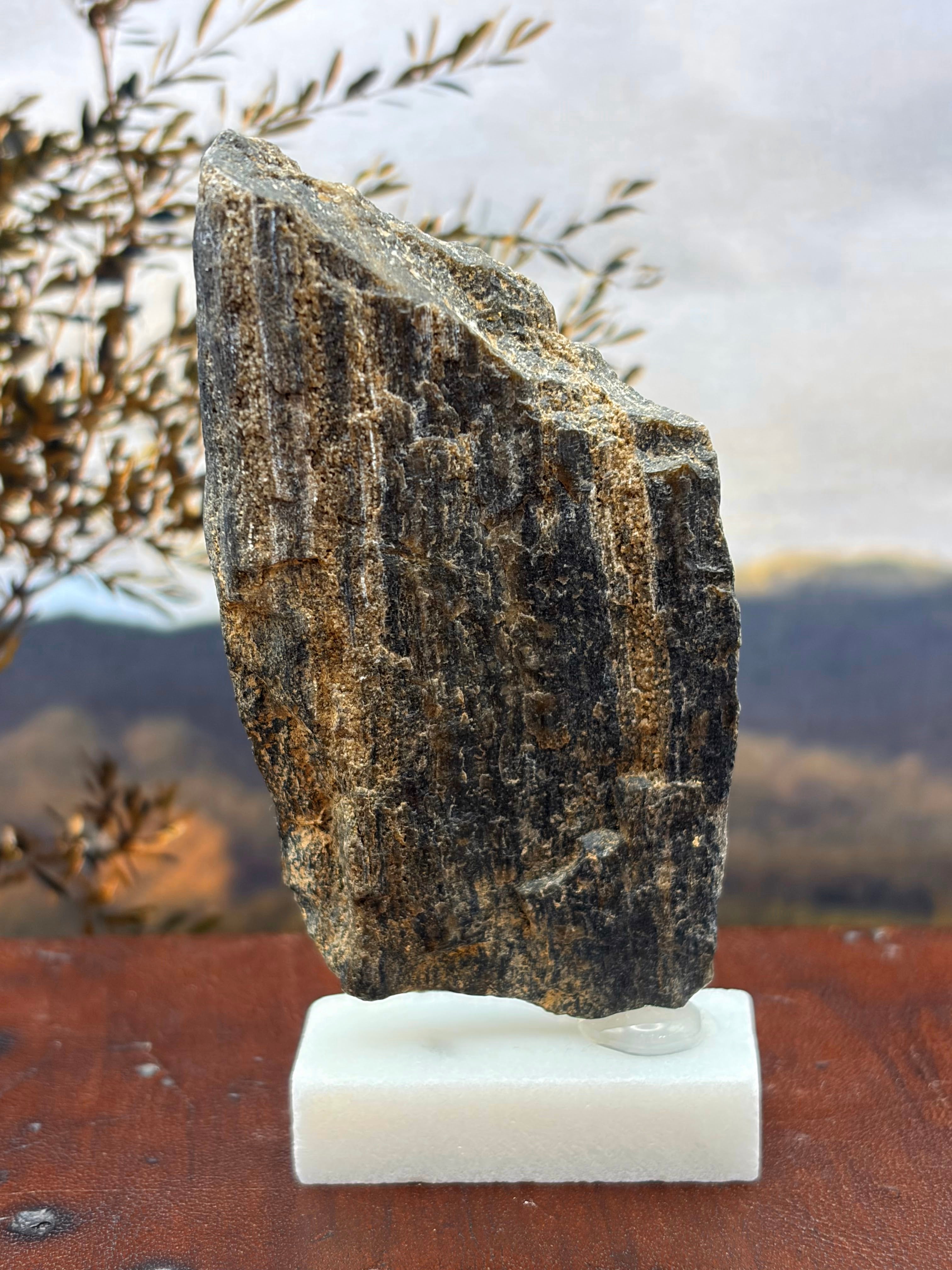 Small Black Opal Petrified Wood Specimen (with stand)