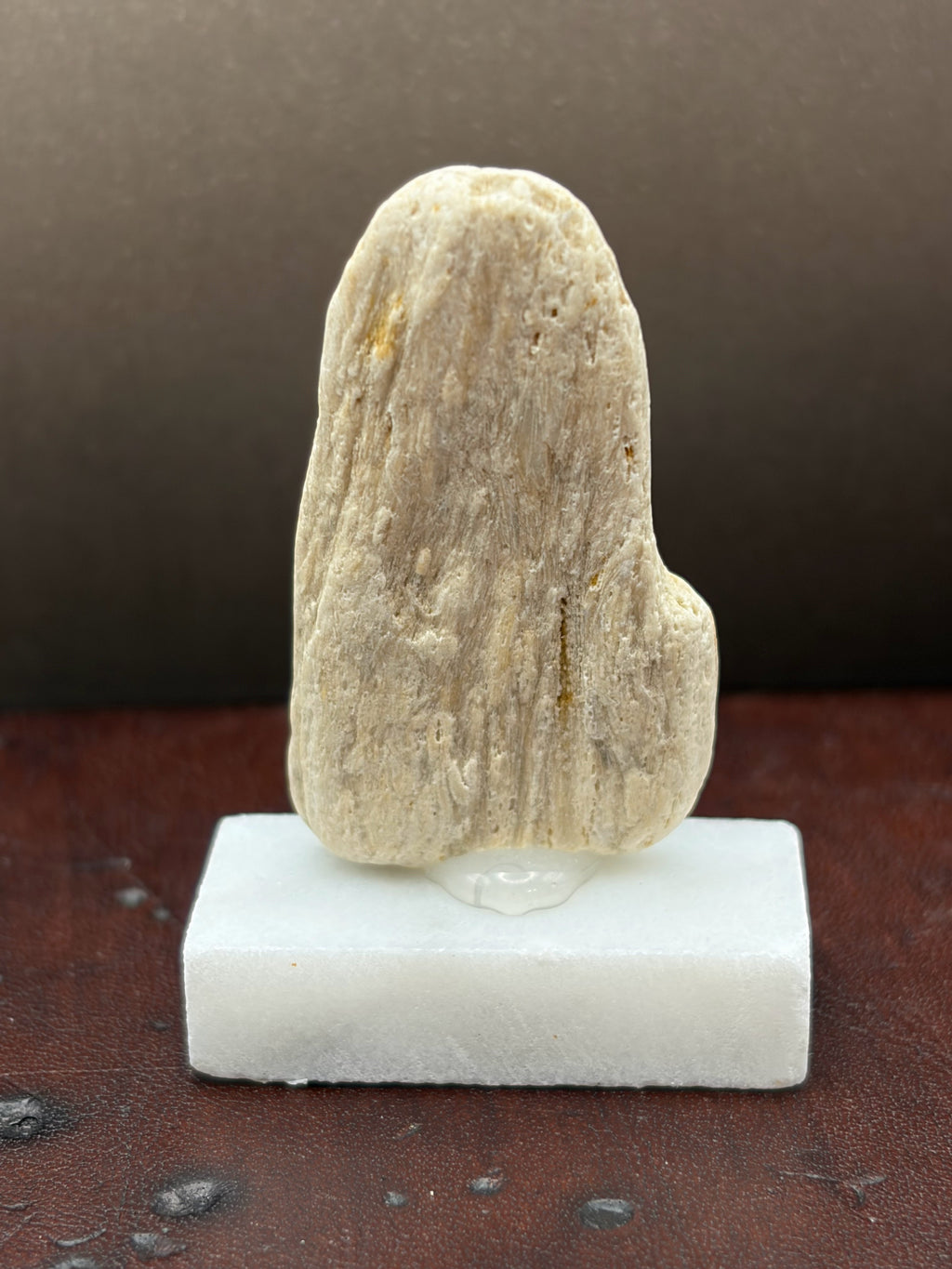 Small Druzy Petrified Wood Specimen (with stand)
