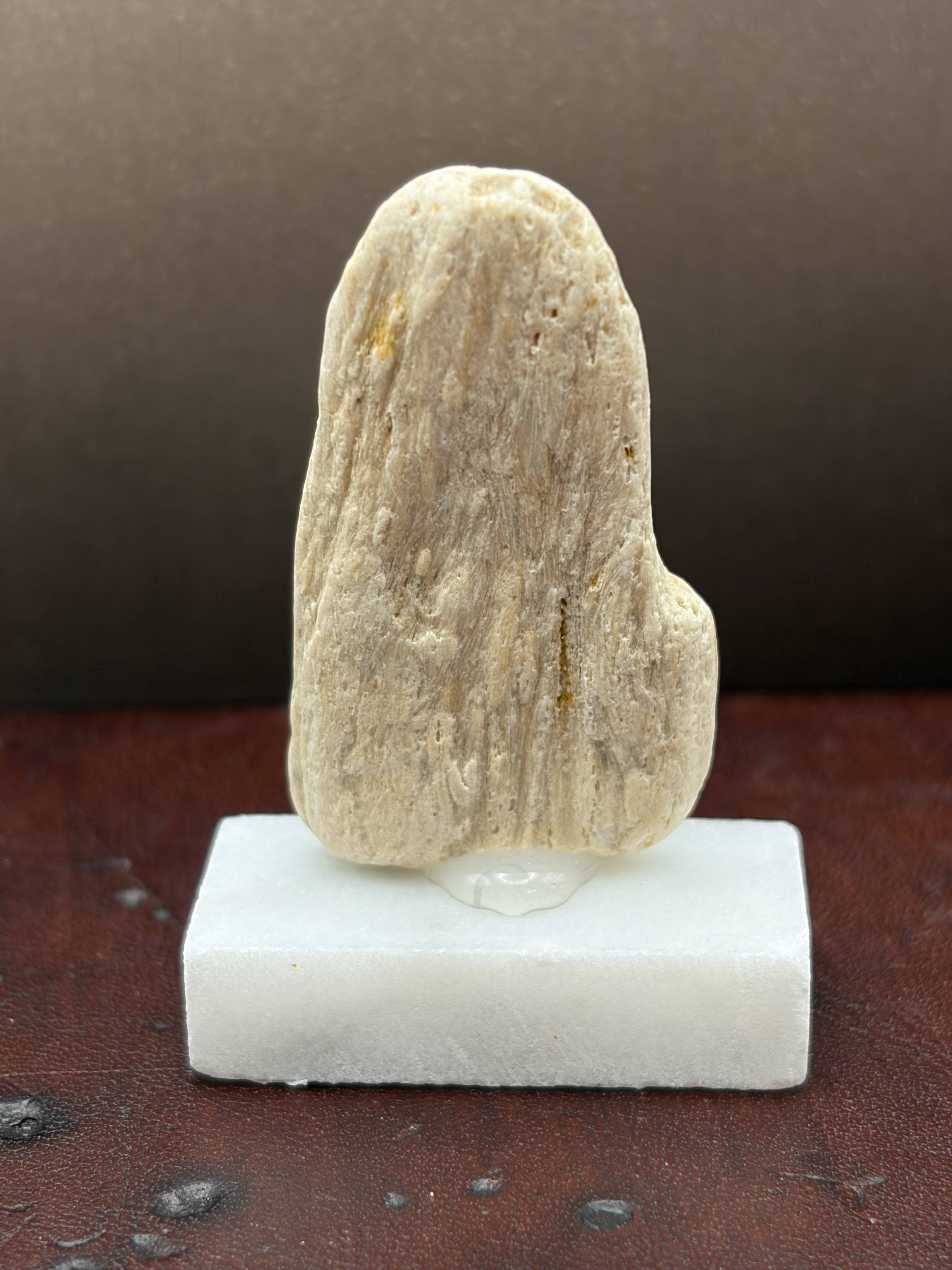 Small Druzy Petrified Wood Specimen (with stand)