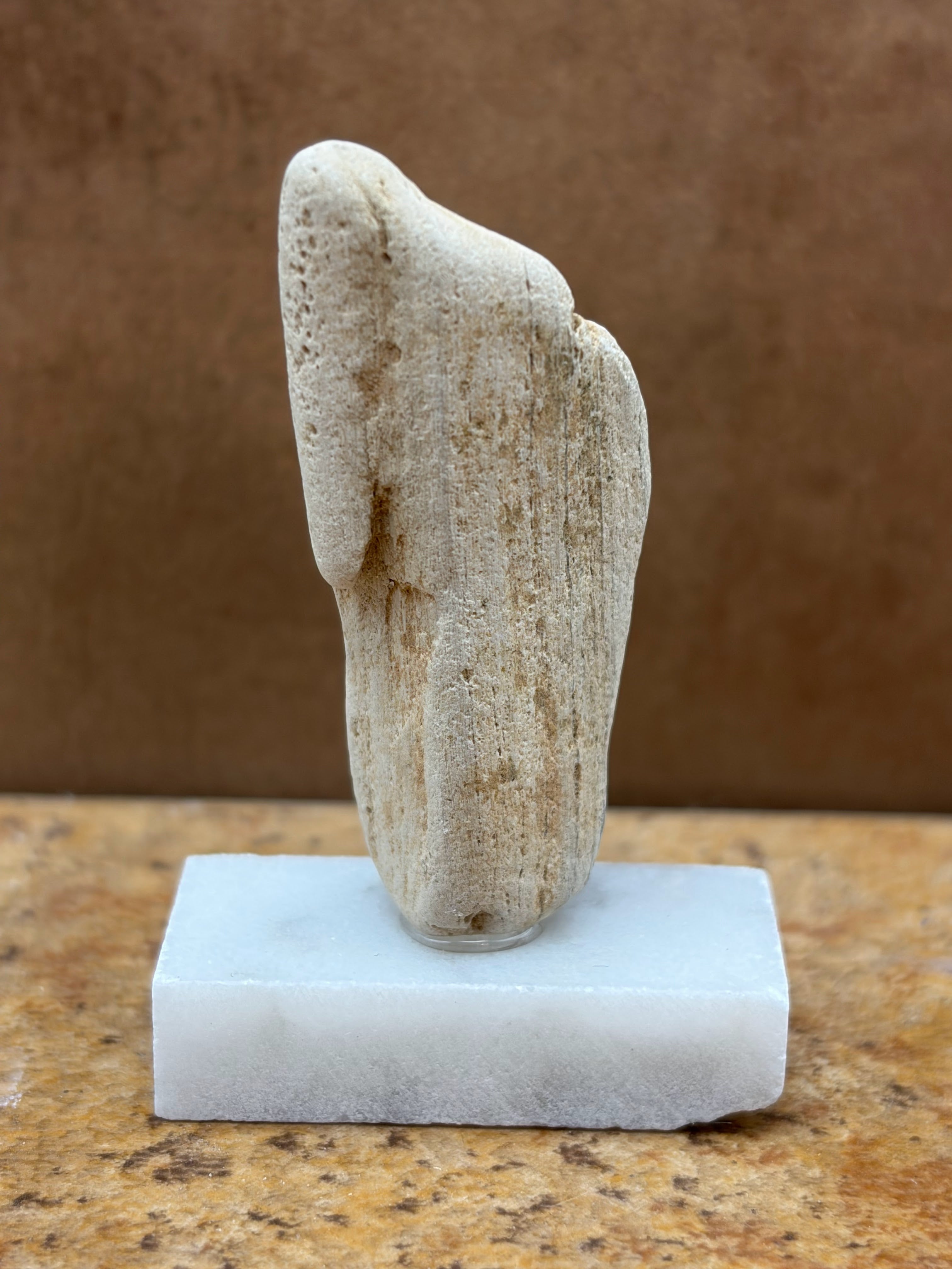 Small Petrified Wood Specimen (with stand)