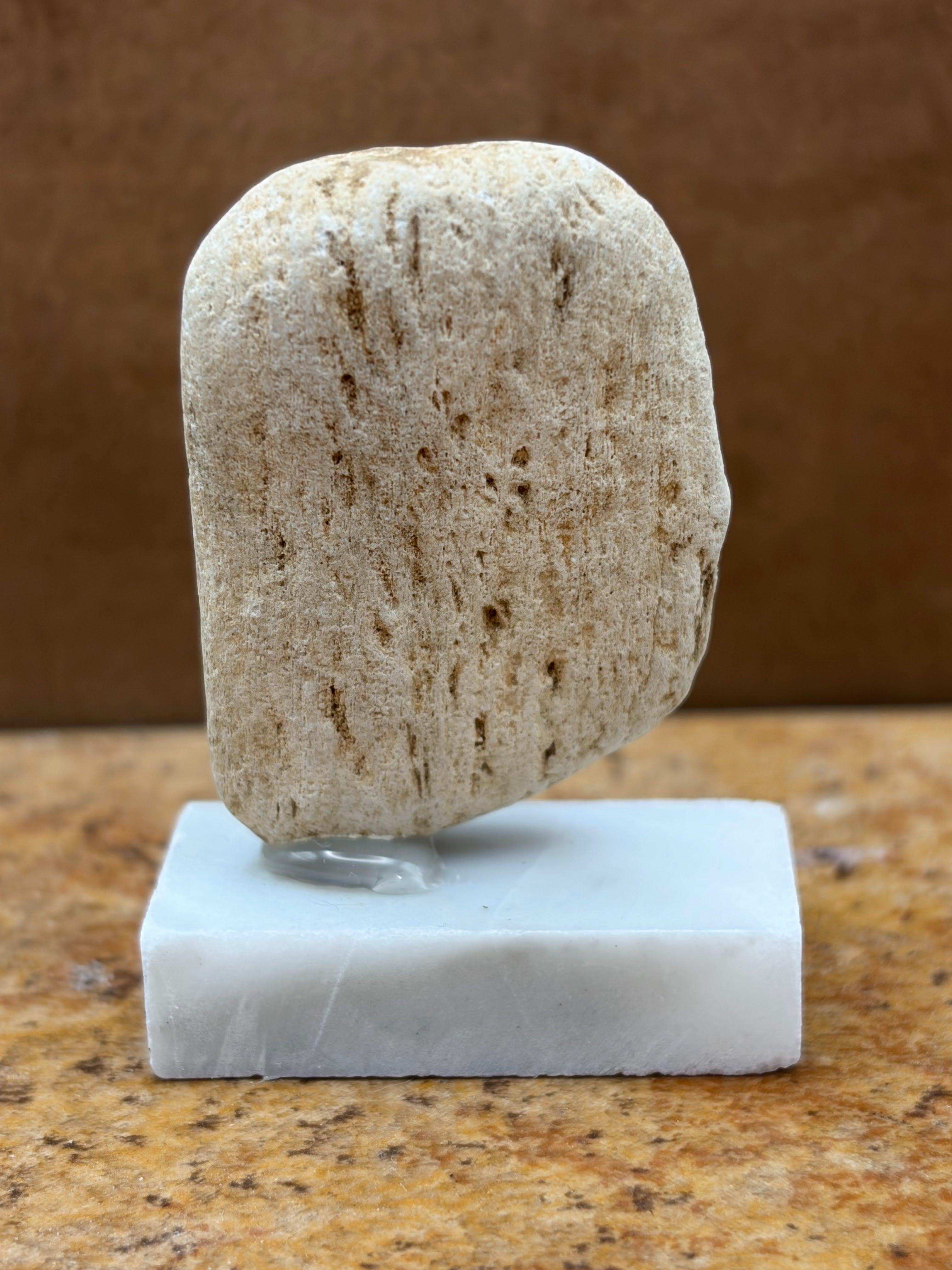 Small Petrified Wood Specimen (with stand)