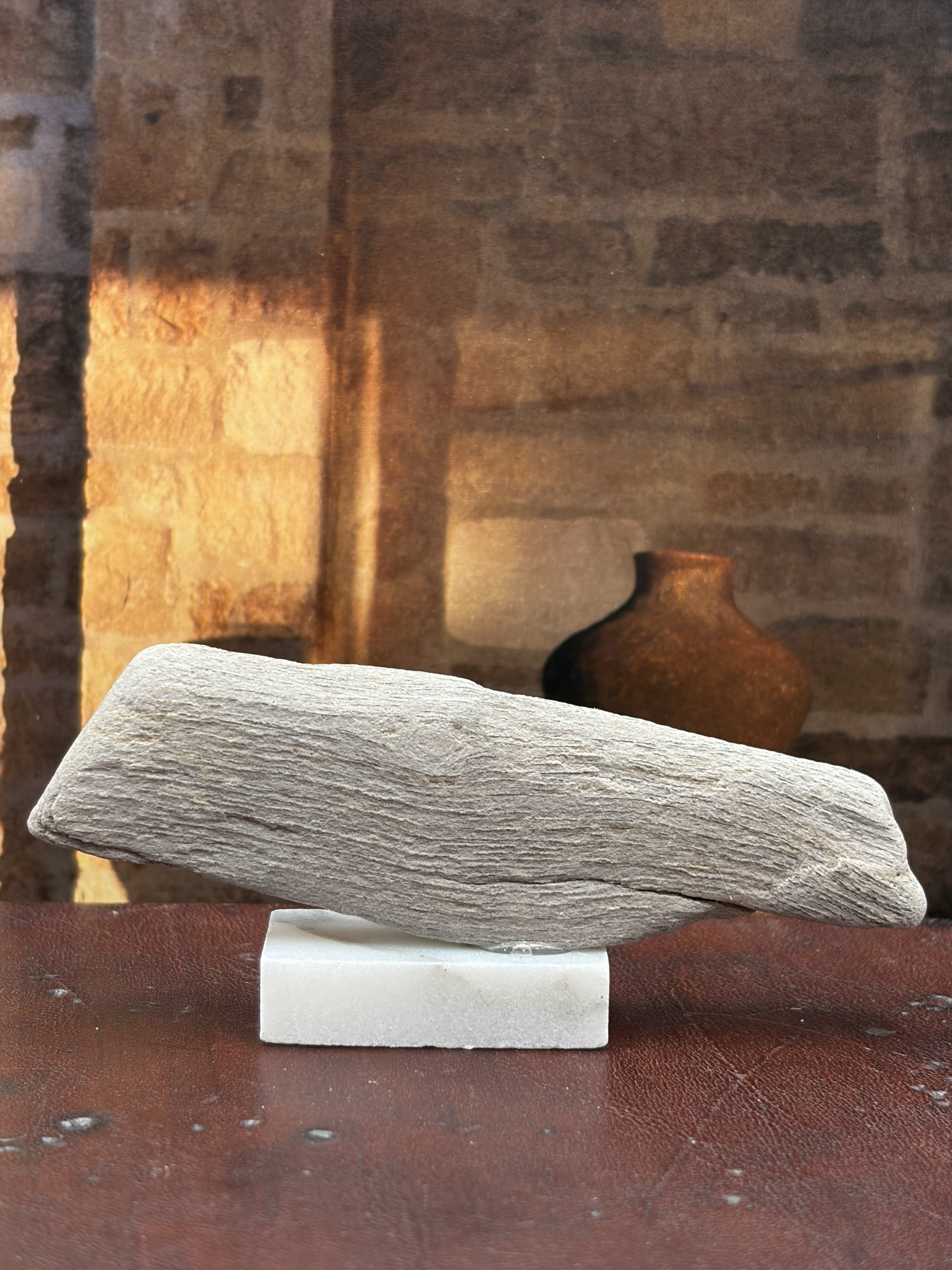 Small Petrified Palm Wood Specimen (with stand)