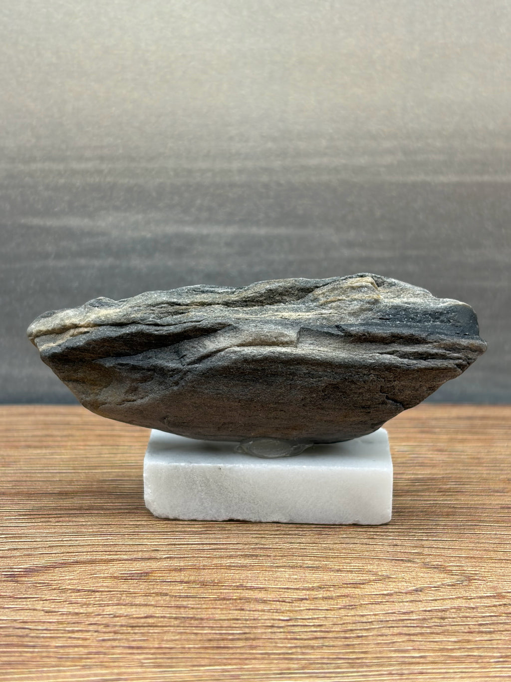 Small Petrified Wood Specimen (with stand)