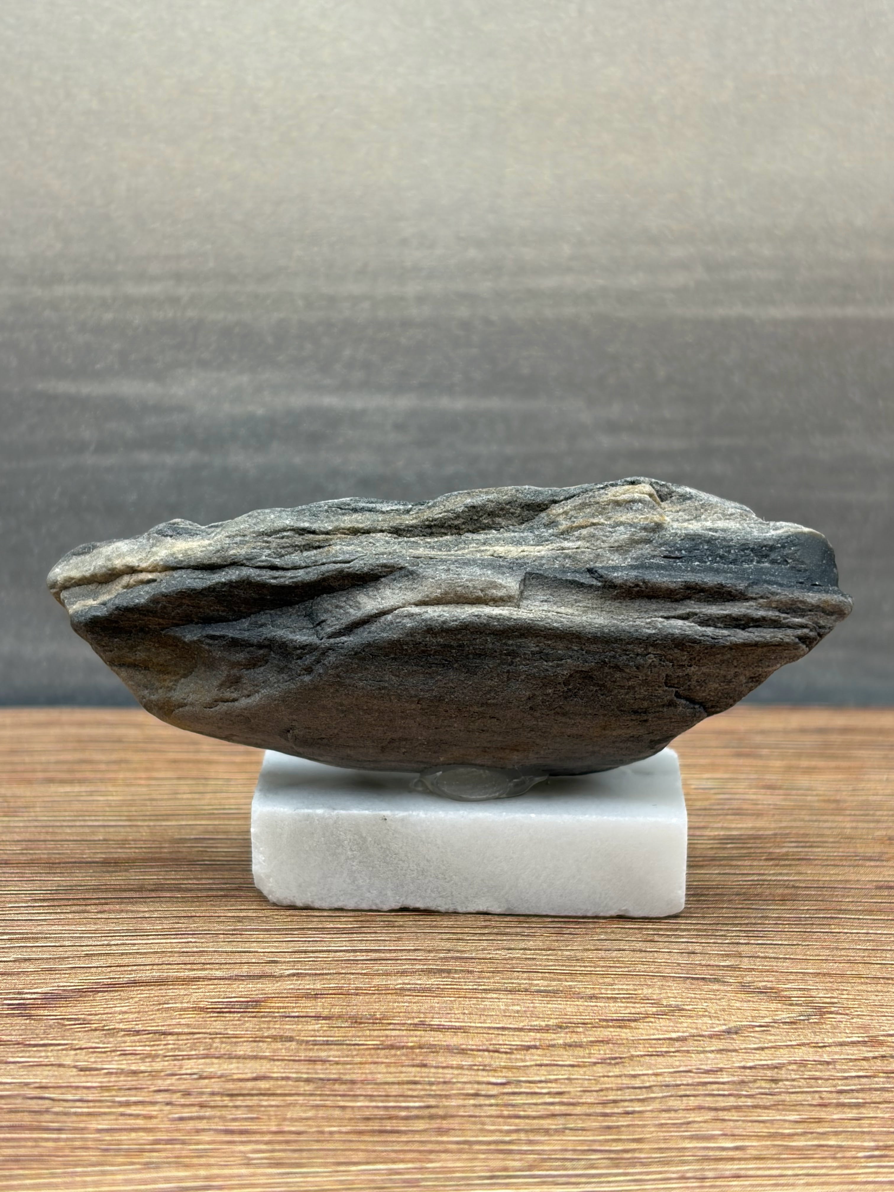 Small Petrified Wood Specimen (with stand)