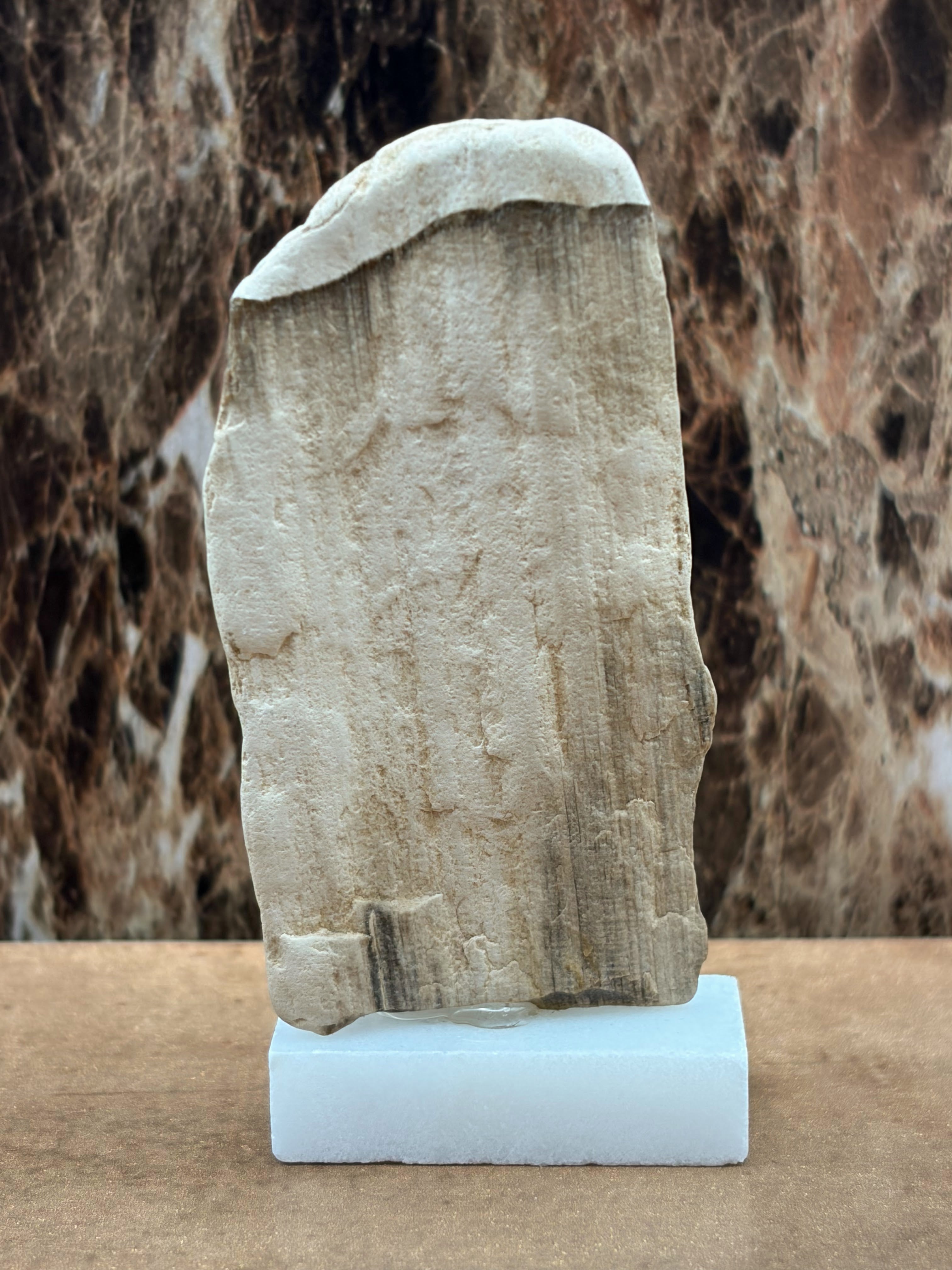 Small Petrified Wood Specimen (with stand)