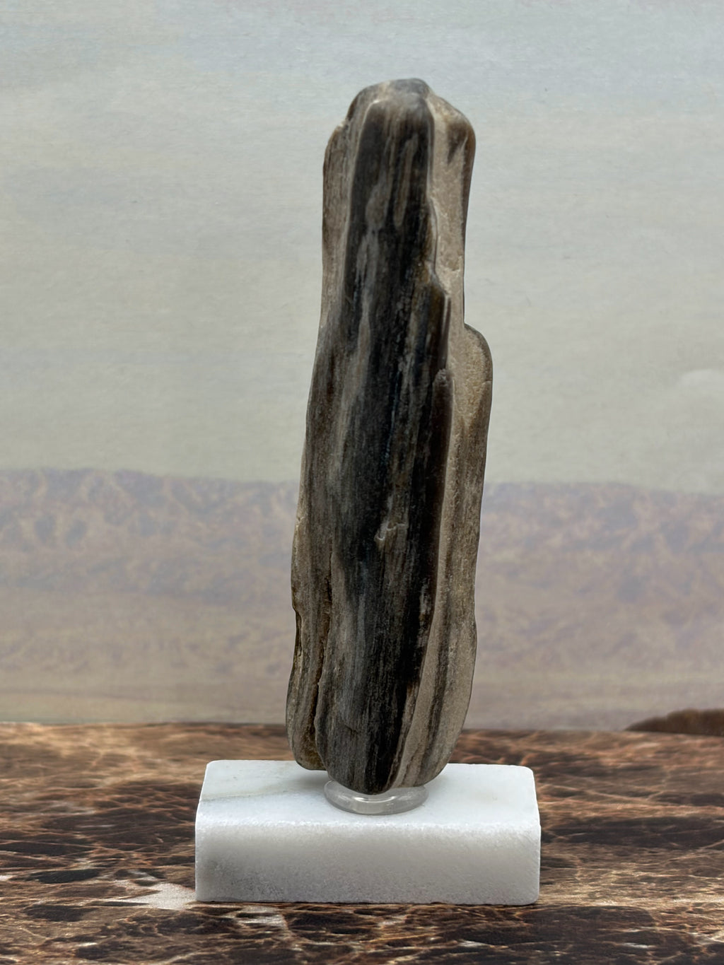 Small Petrified Wood Specimen (with stand)