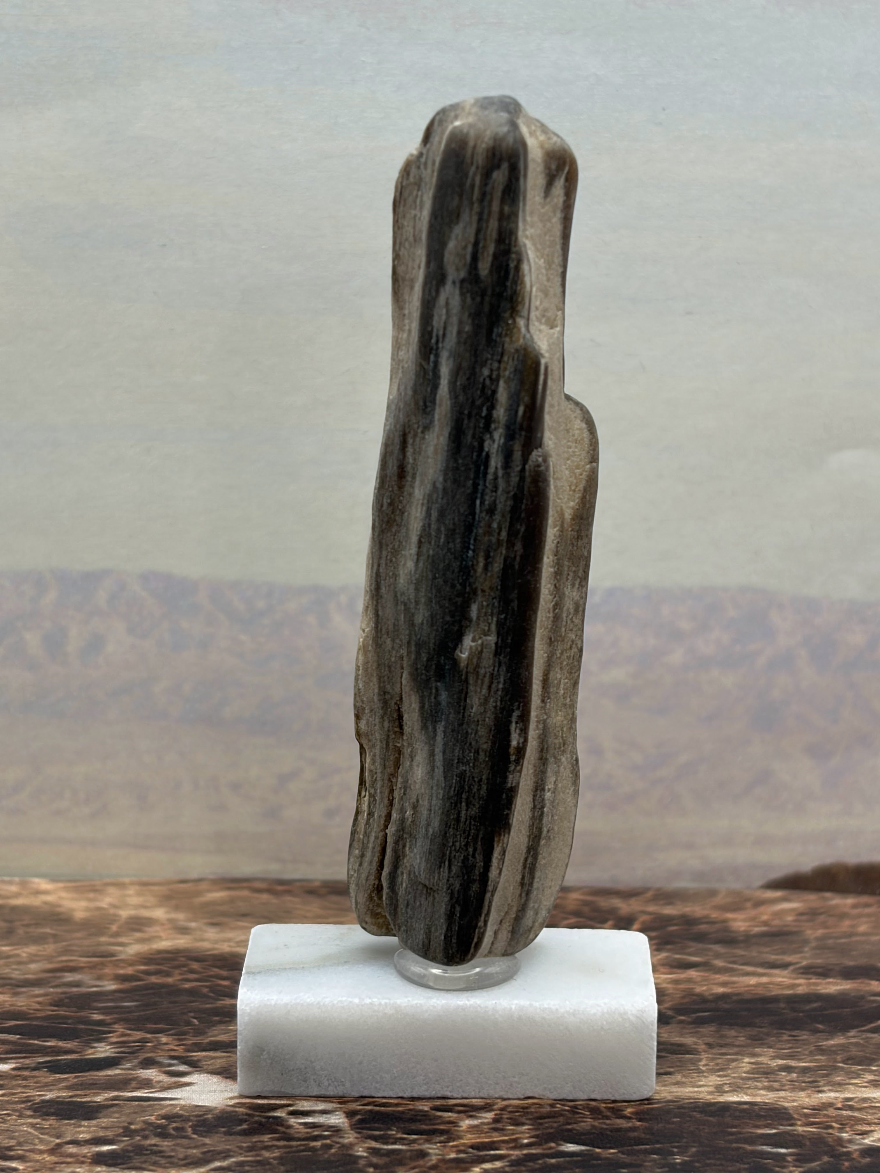 Small Petrified Wood Specimen (with stand)