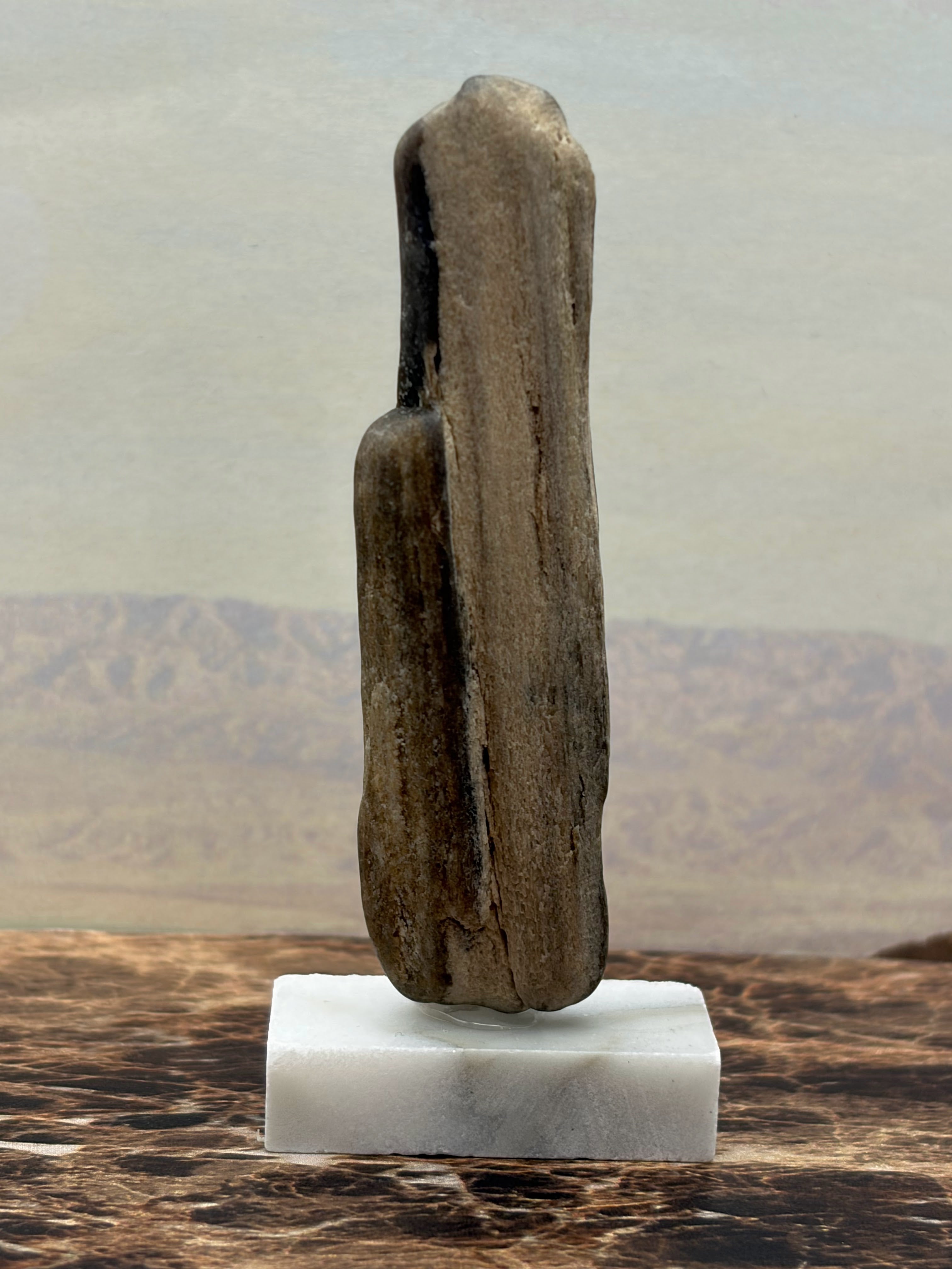 Small Petrified Wood Specimen (with stand)