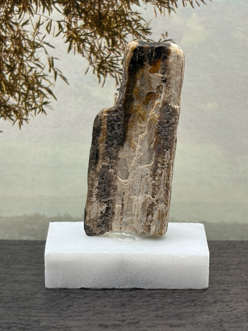 Small Petrified Wood Specimen (with stand)