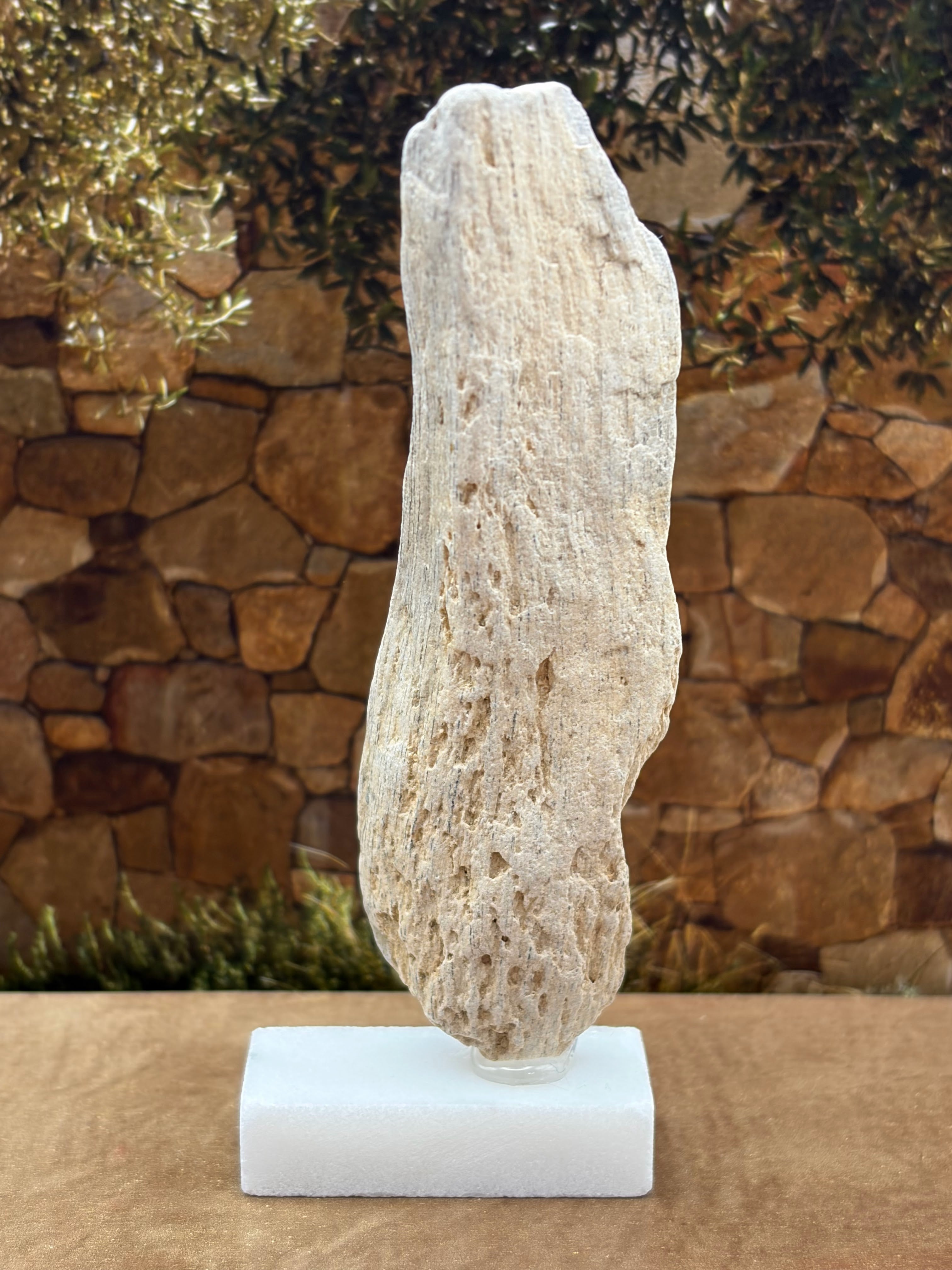 Small Petrified Wood Specimen (with stand)