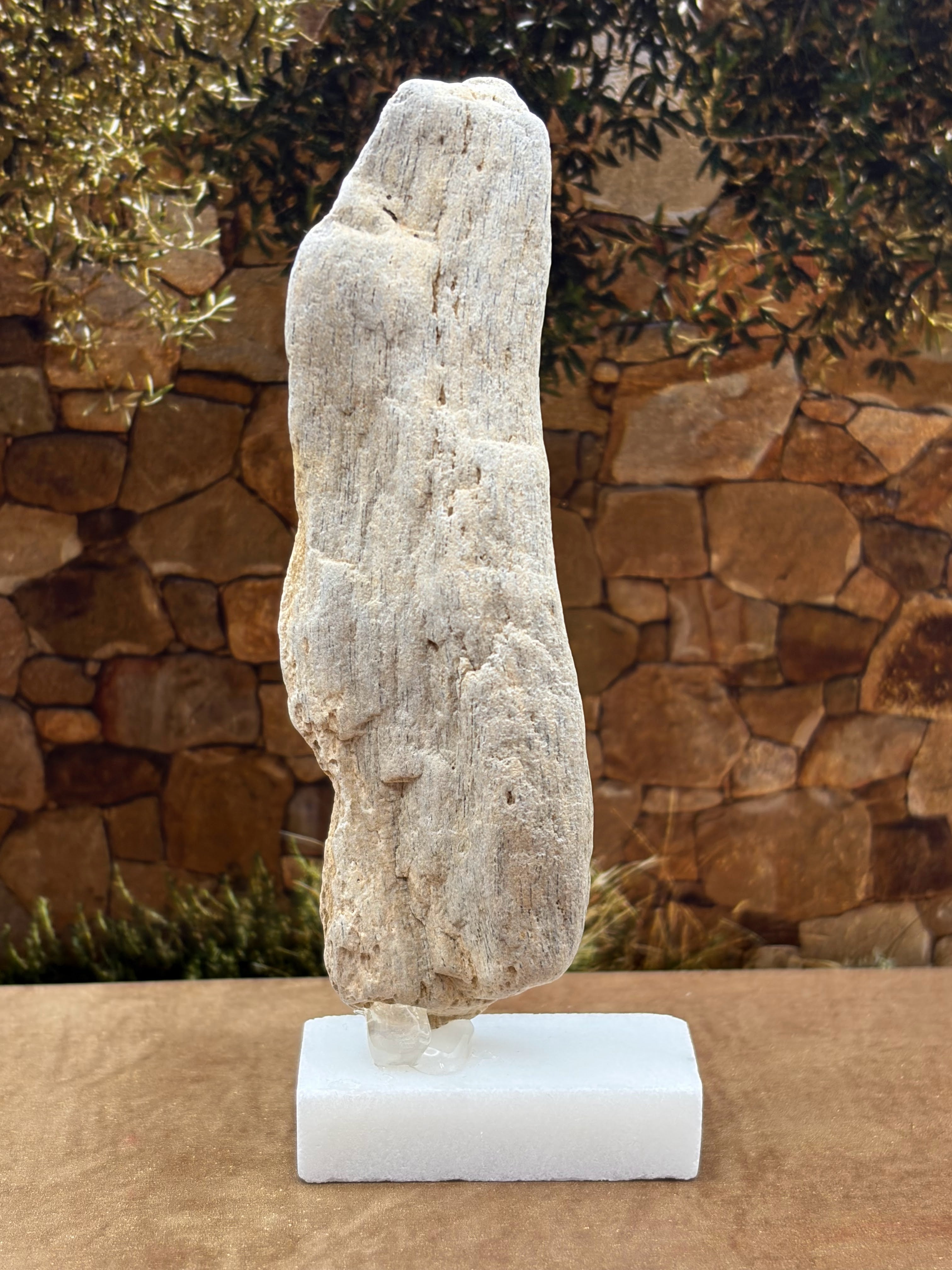 Small Petrified Wood Specimen (with stand)