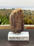 Small Carnelian Petrified Wood Specimen (with stand)