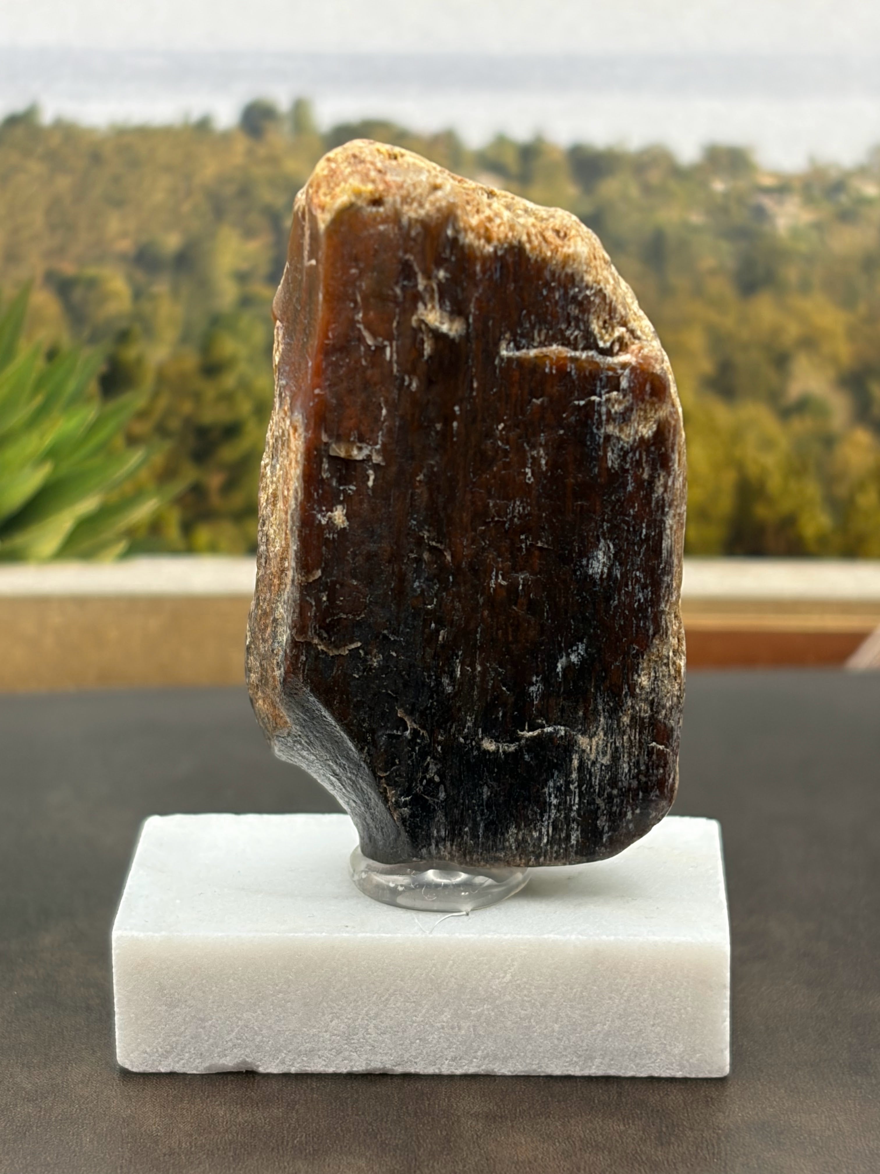 Small Carnelian Petrified Wood Specimen (with stand)
