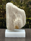 Small Petrified Wood Specimen (with stand)
