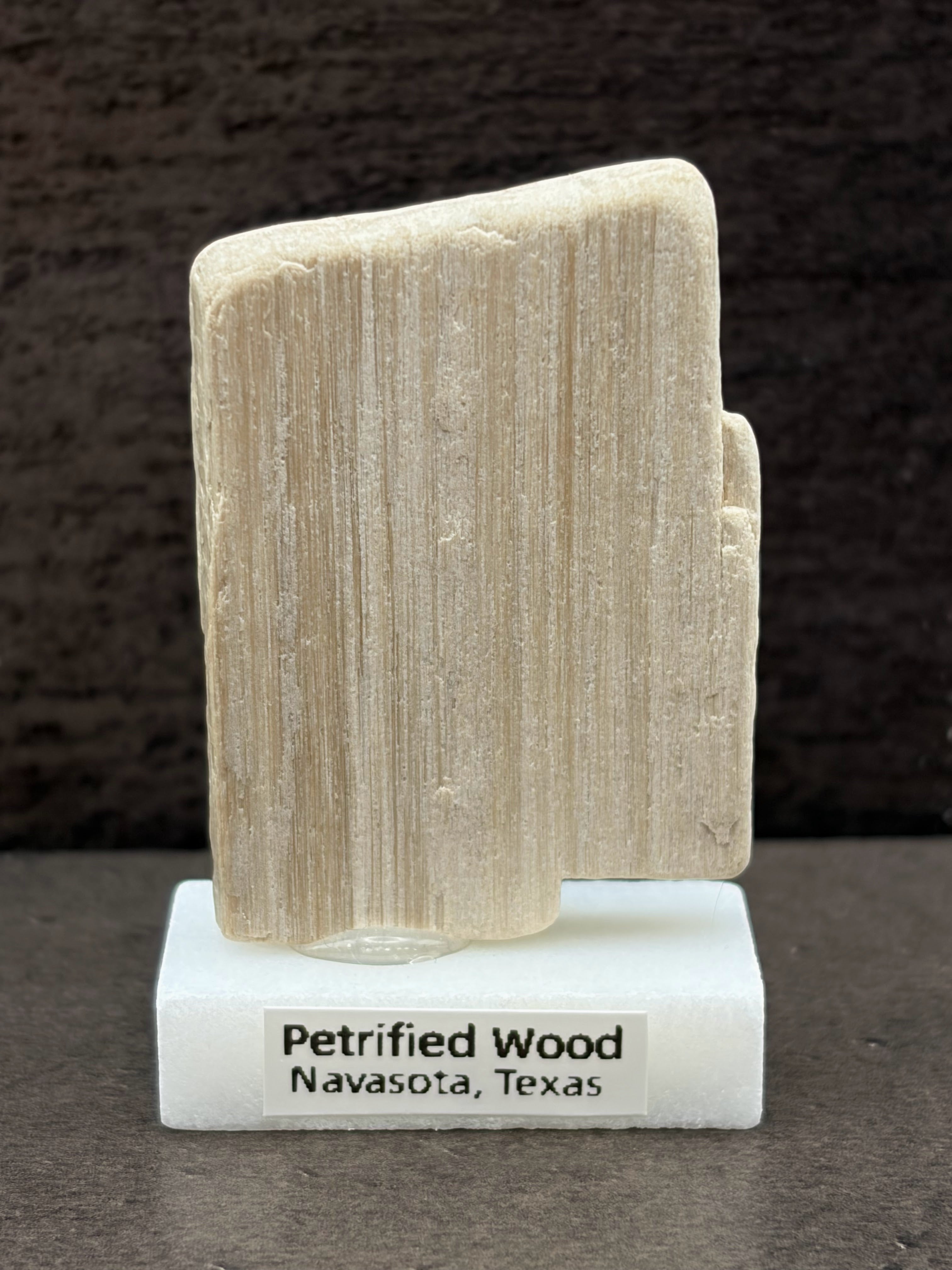 Small Petrified Wood Specimen (with stand)