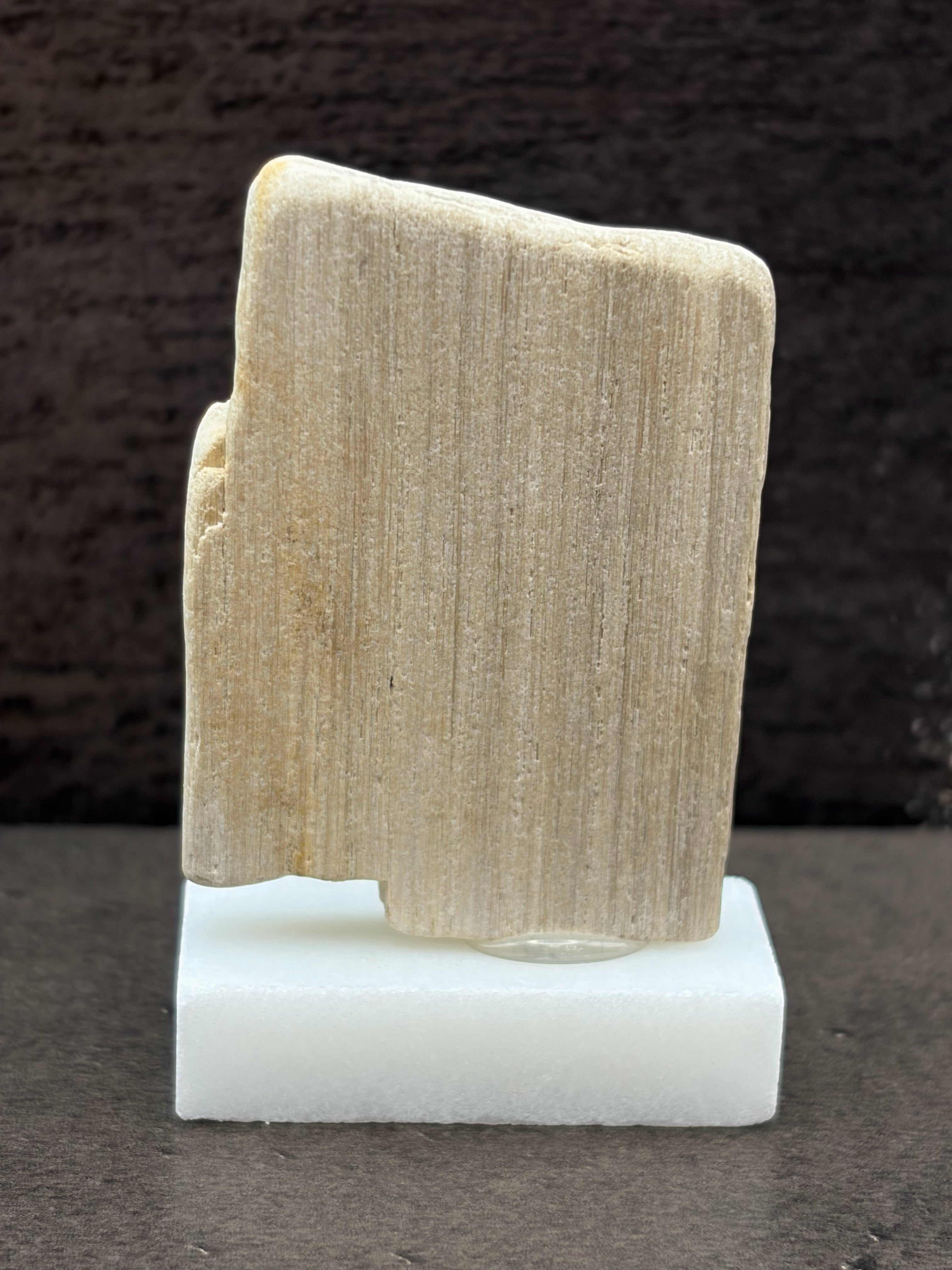 Small Petrified Wood Specimen (with stand)