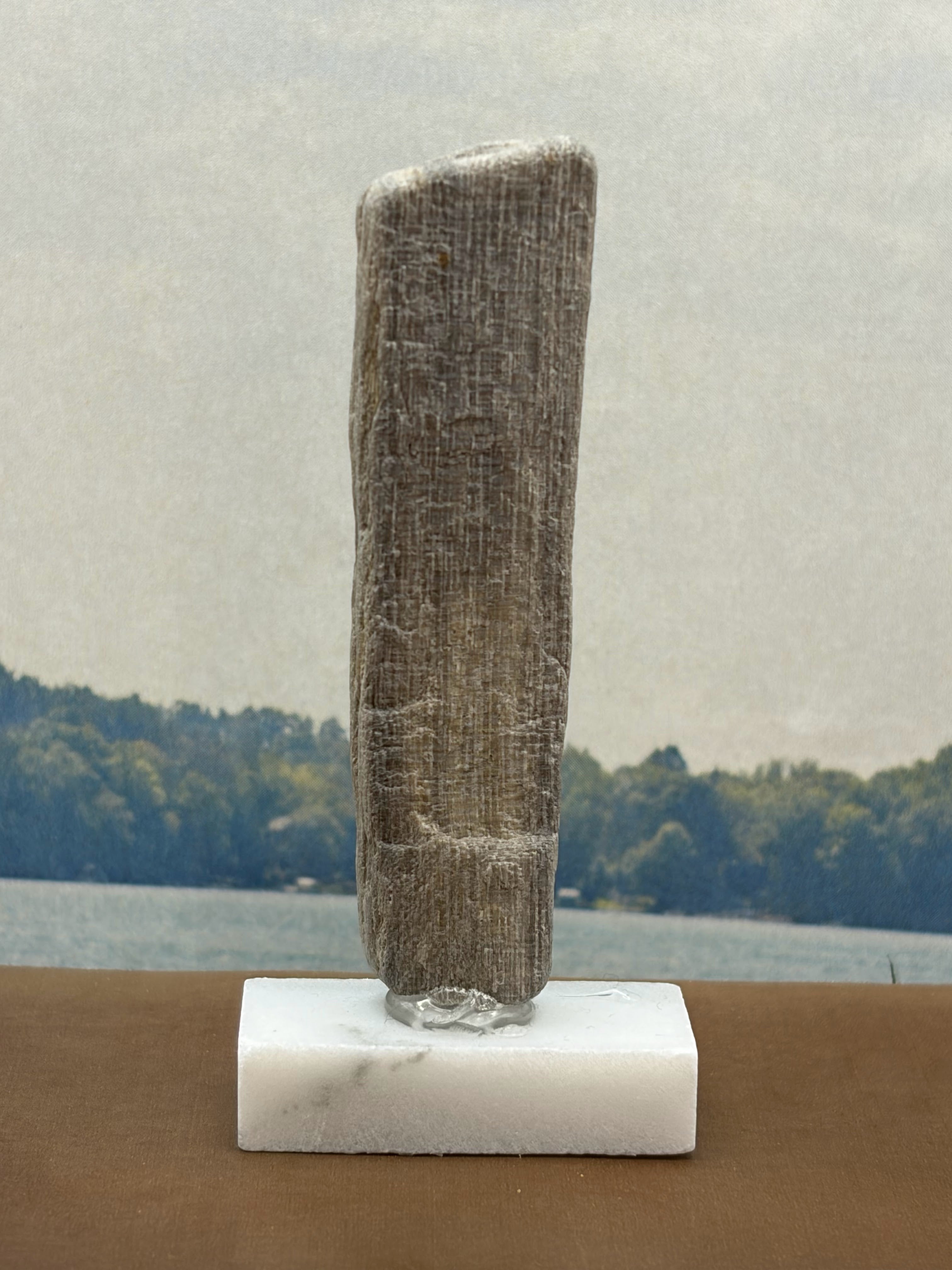 Small Petrified Wood Specimen (with stand)