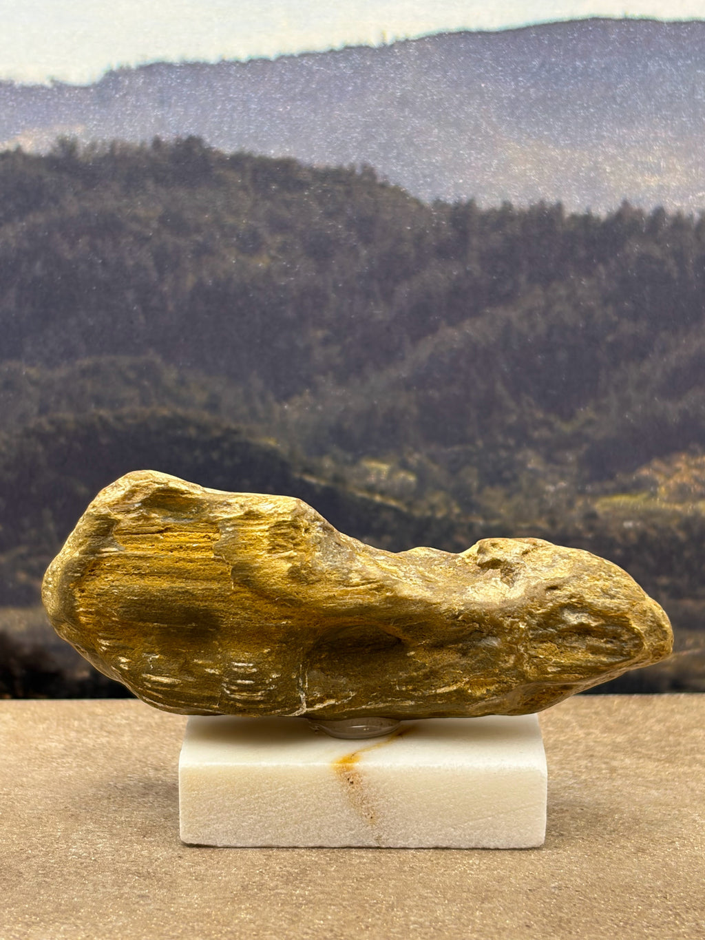 Small Petrified Wood Specimen (with stand)