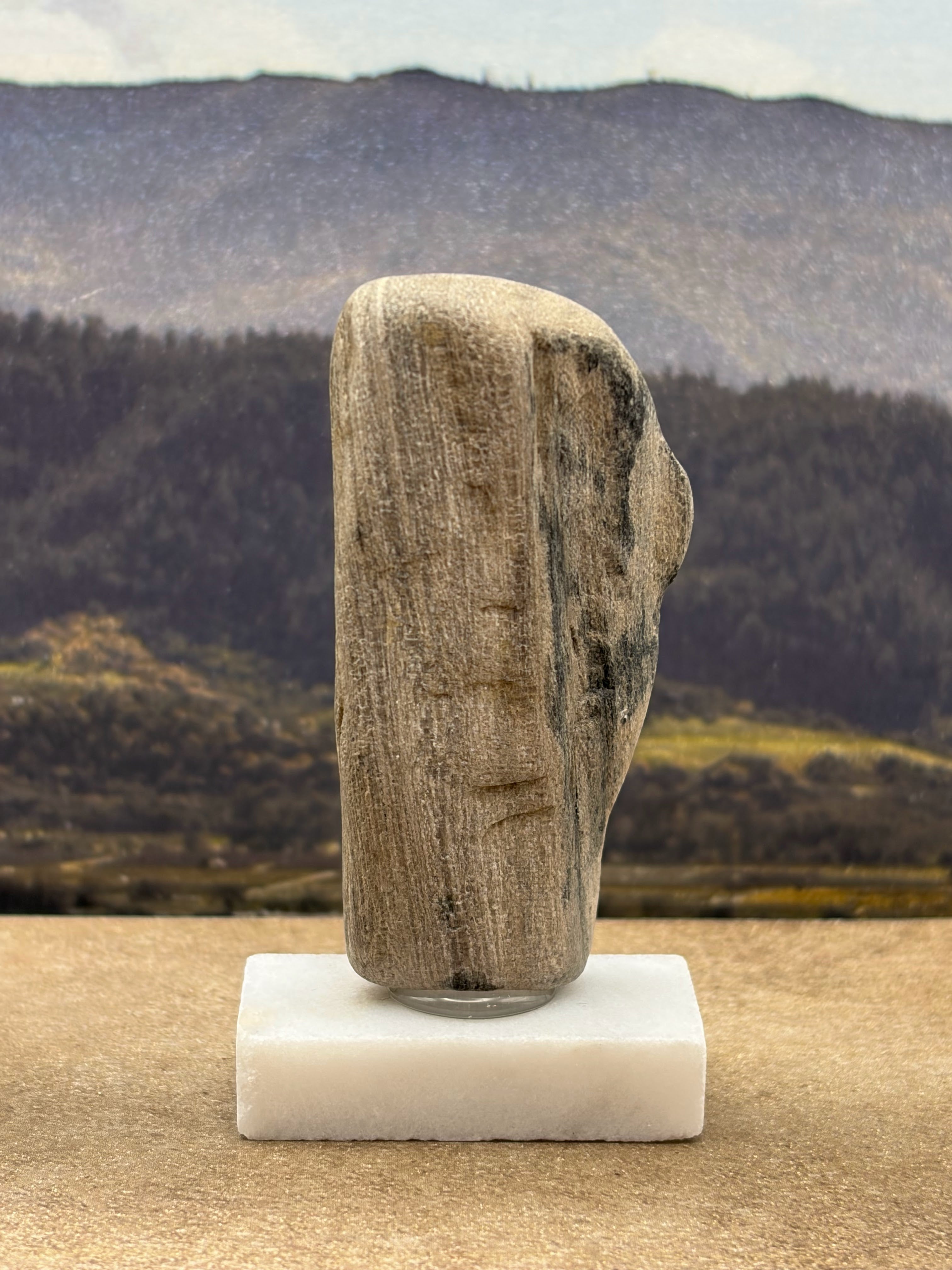 Small Petrified Wood Specimen (with stand)