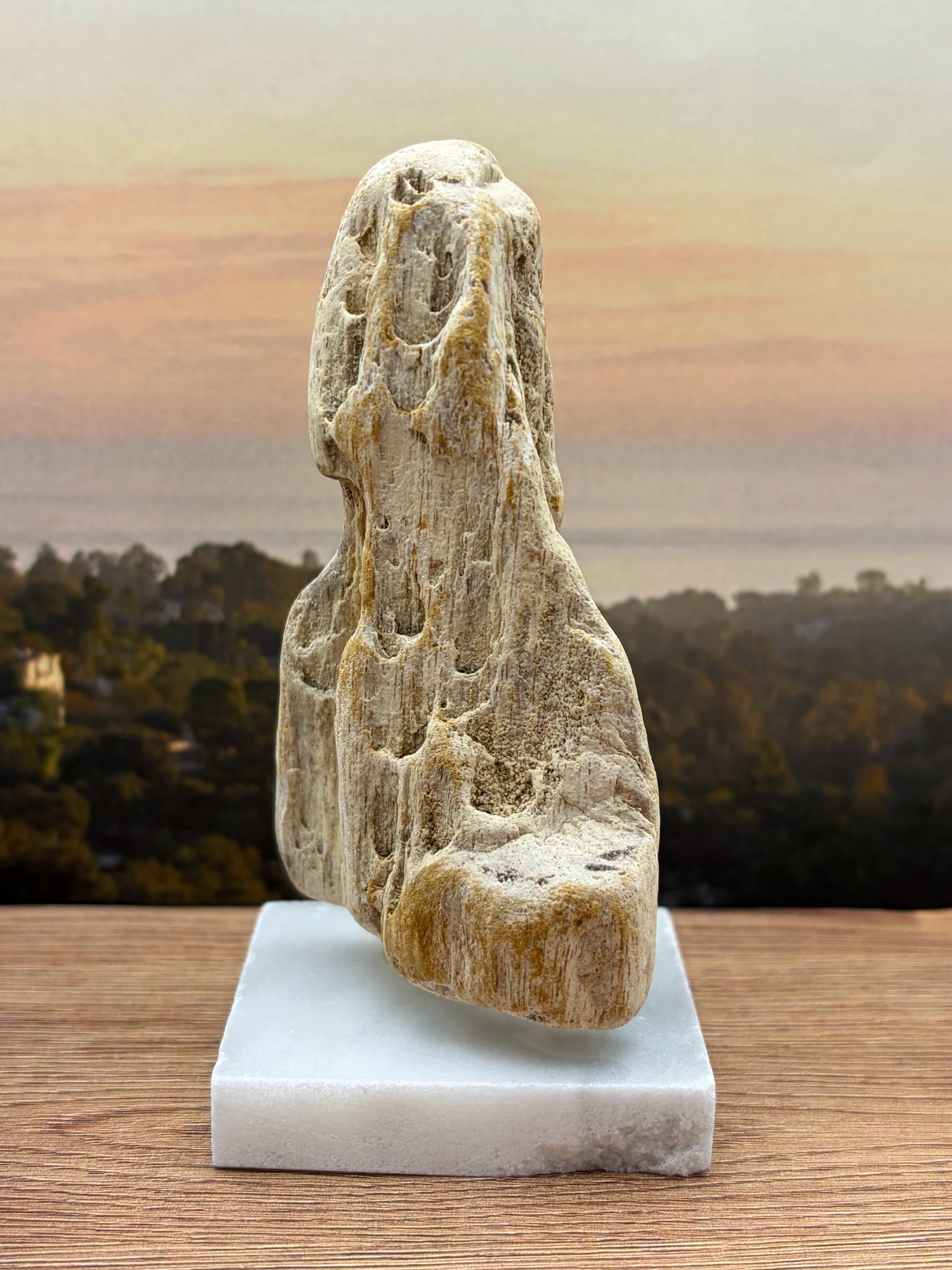 Petrified Wood Specimen (with stand)