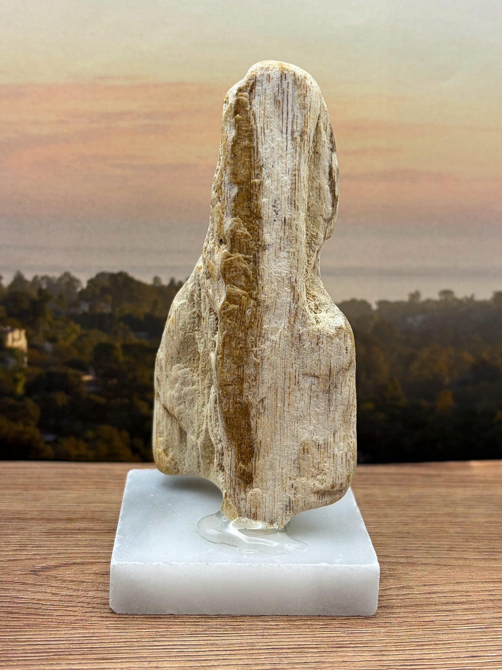 Petrified Wood Specimen (with stand)